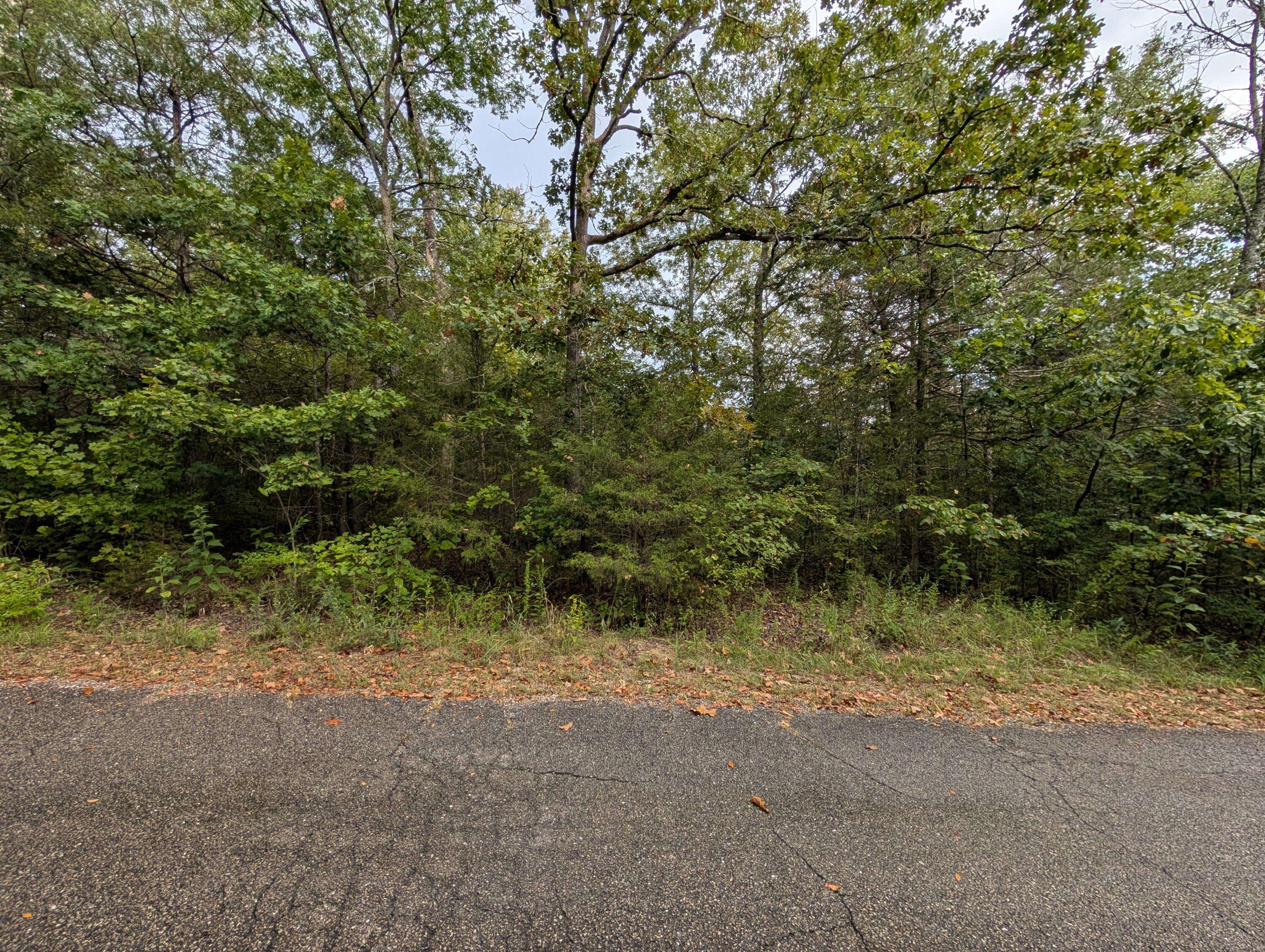 000 N Lot 296 Millstone ST, Shell Knob, MO 65747