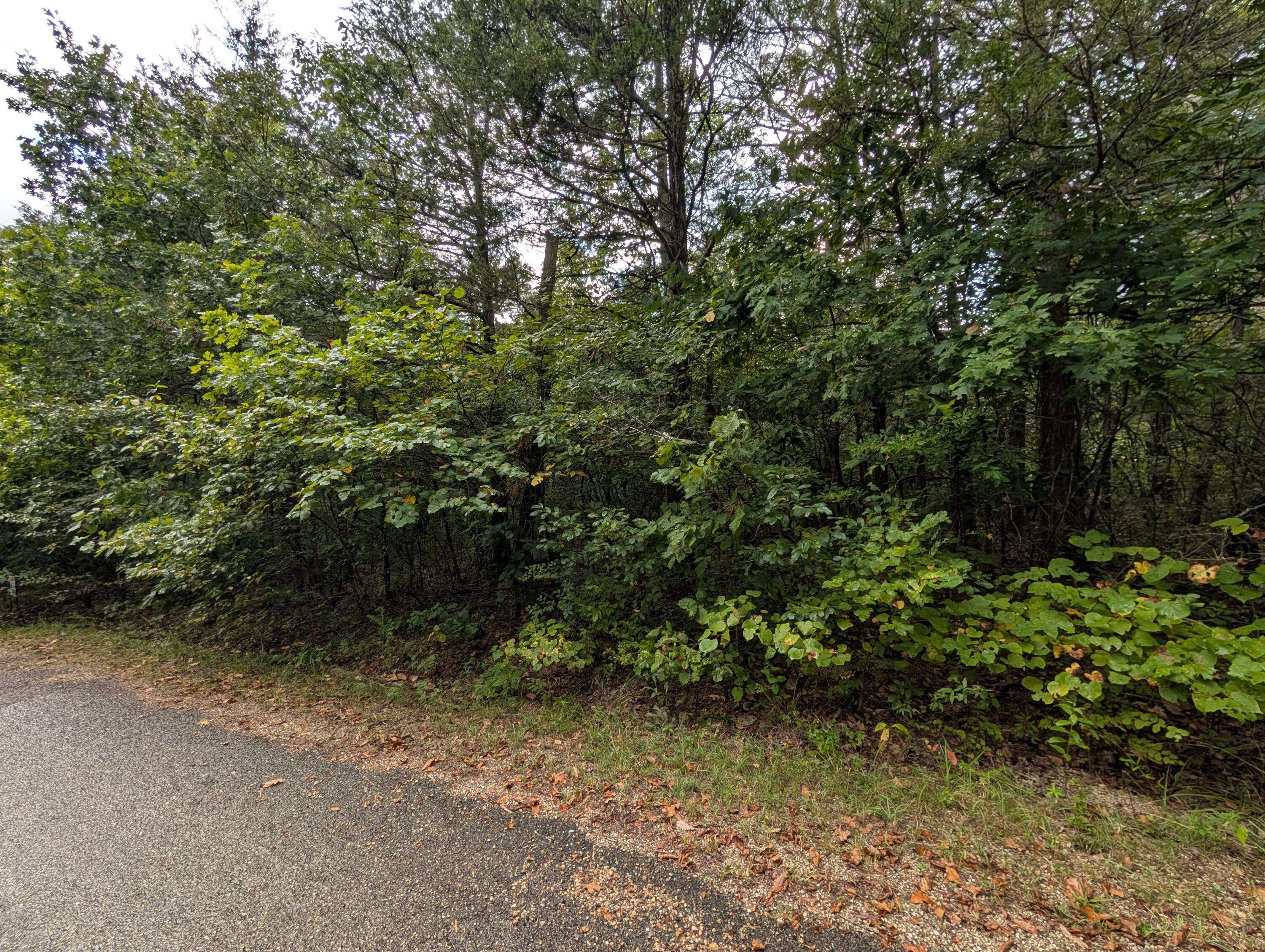 000 N Lot 359 Millstone ST, Shell Knob, MO 65747