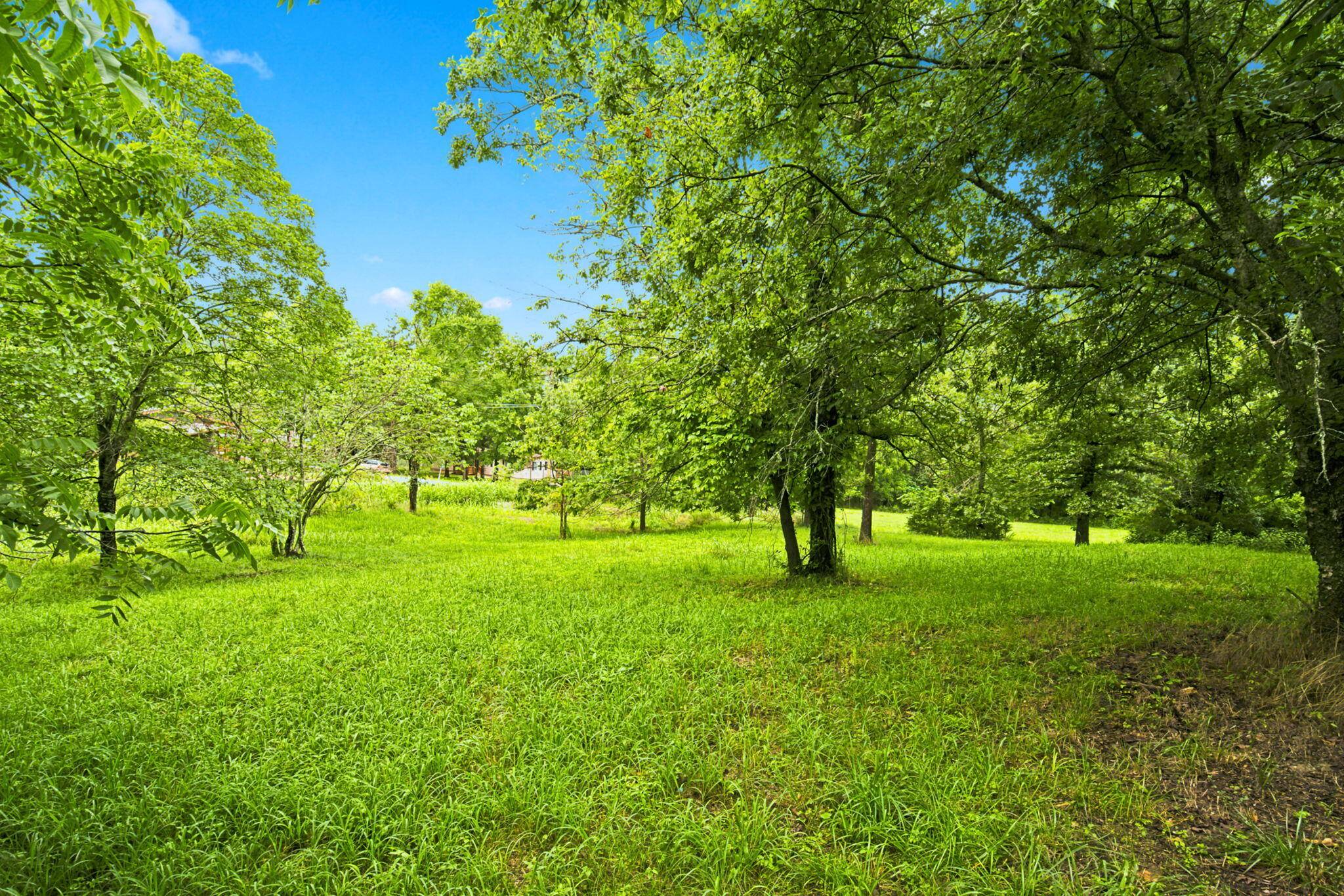 000 Cedar Cove Road, Branson West, MO 65737