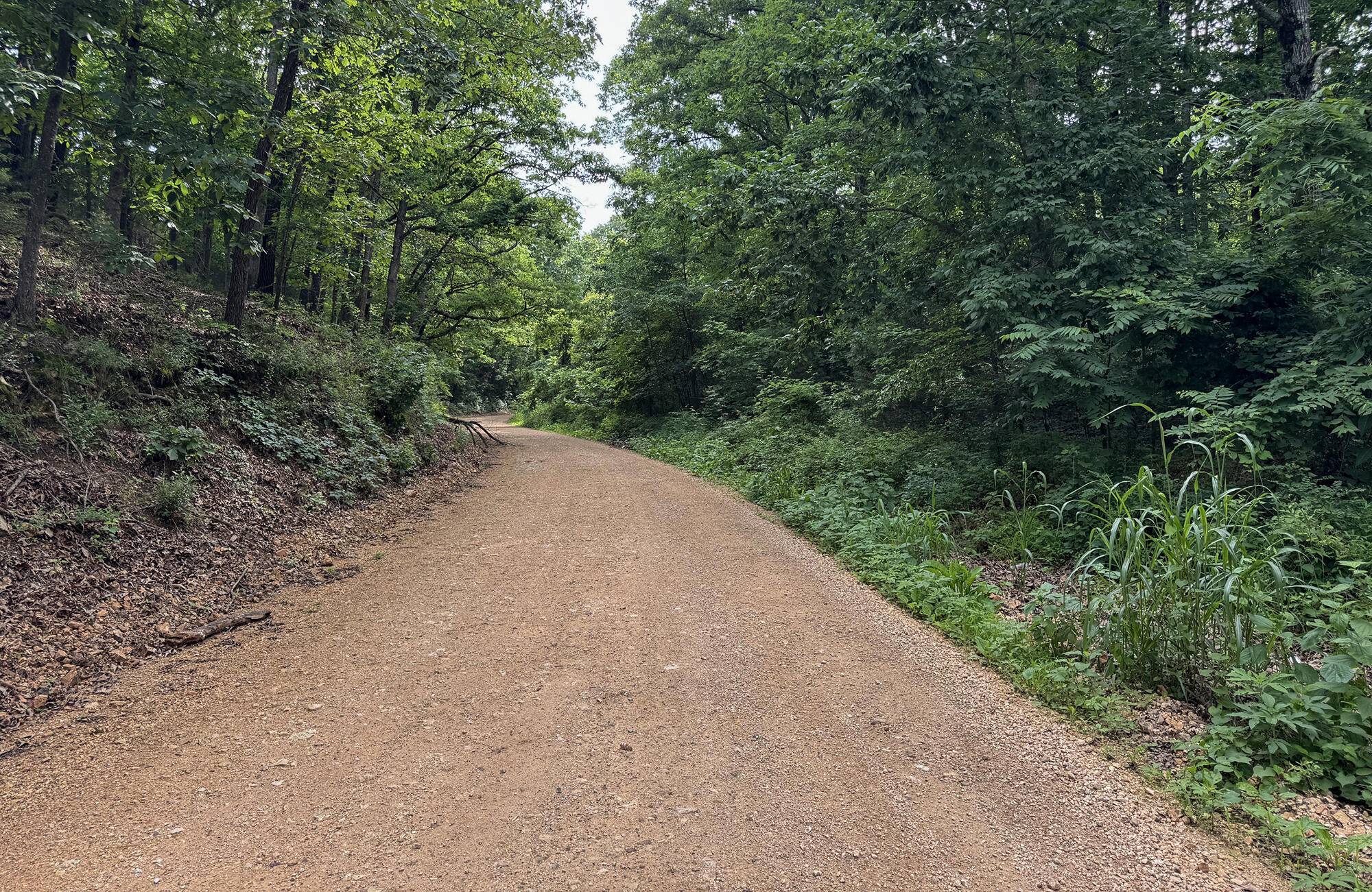 000 Farm Road 2230, Washburn, MO 65772