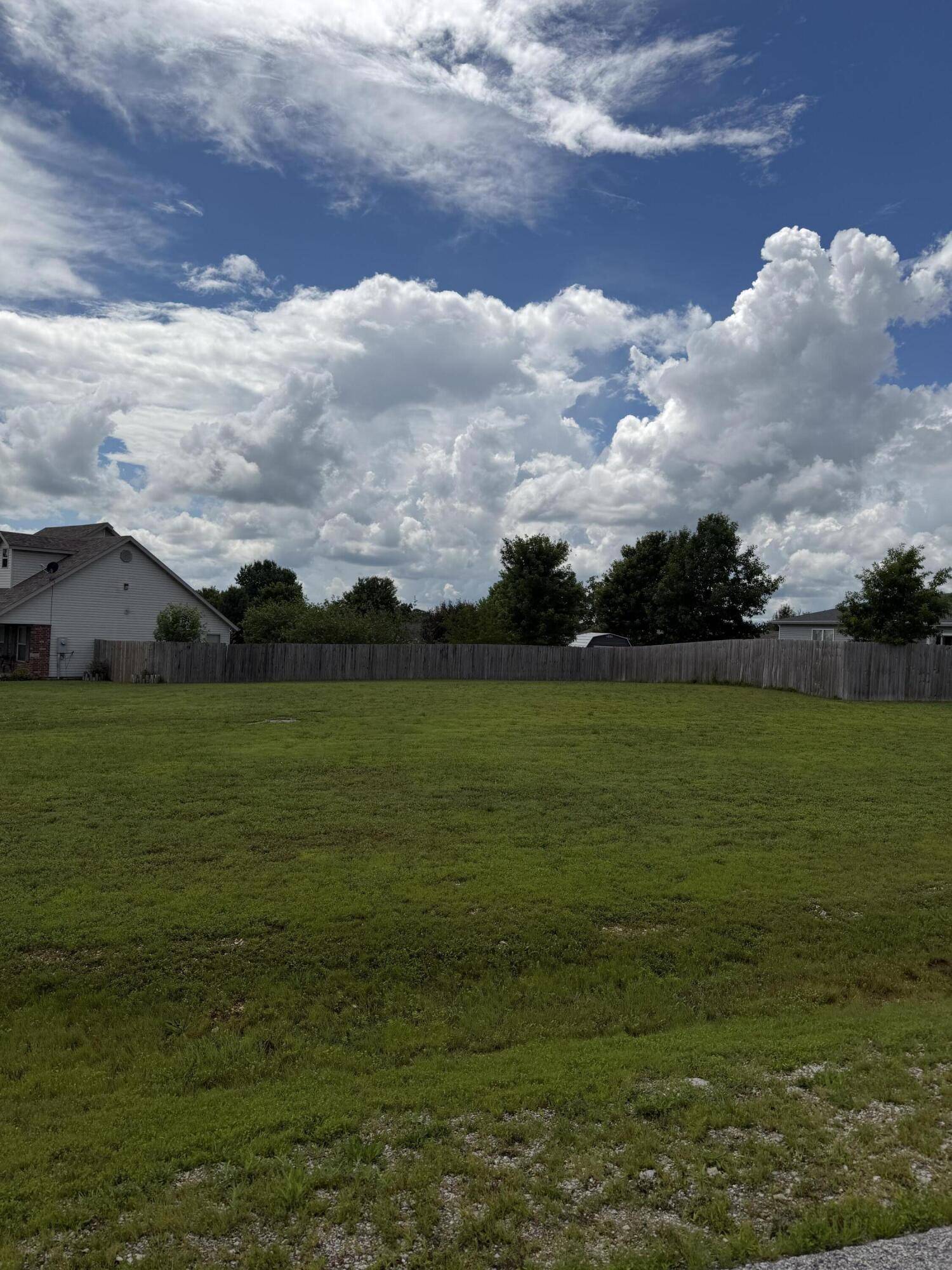 165 Prairie DR, Branson, MO 65616