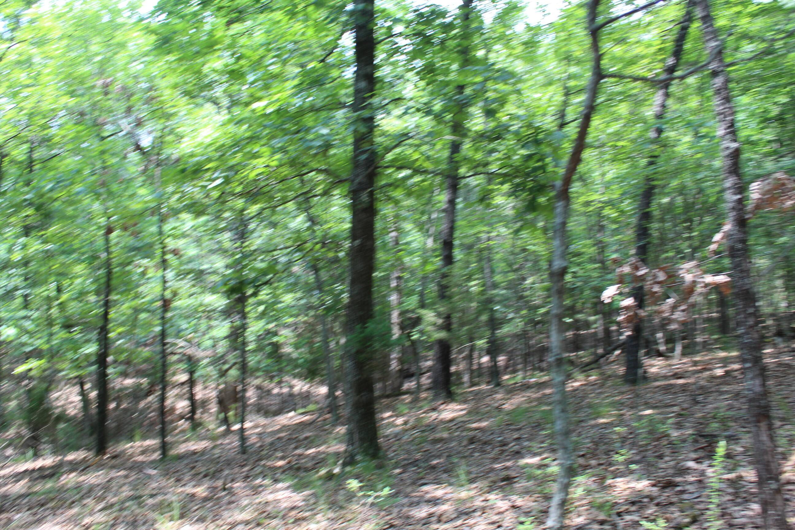000 Country Club DR #Blk 6 Lot 5a, Theodosia, MO 65761