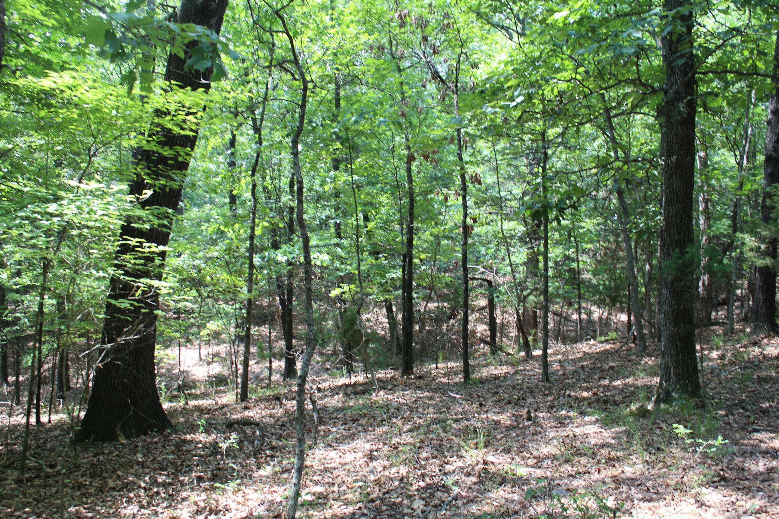 000 Country Club DR #Blk 6 Lot 5a, Theodosia, MO 65761