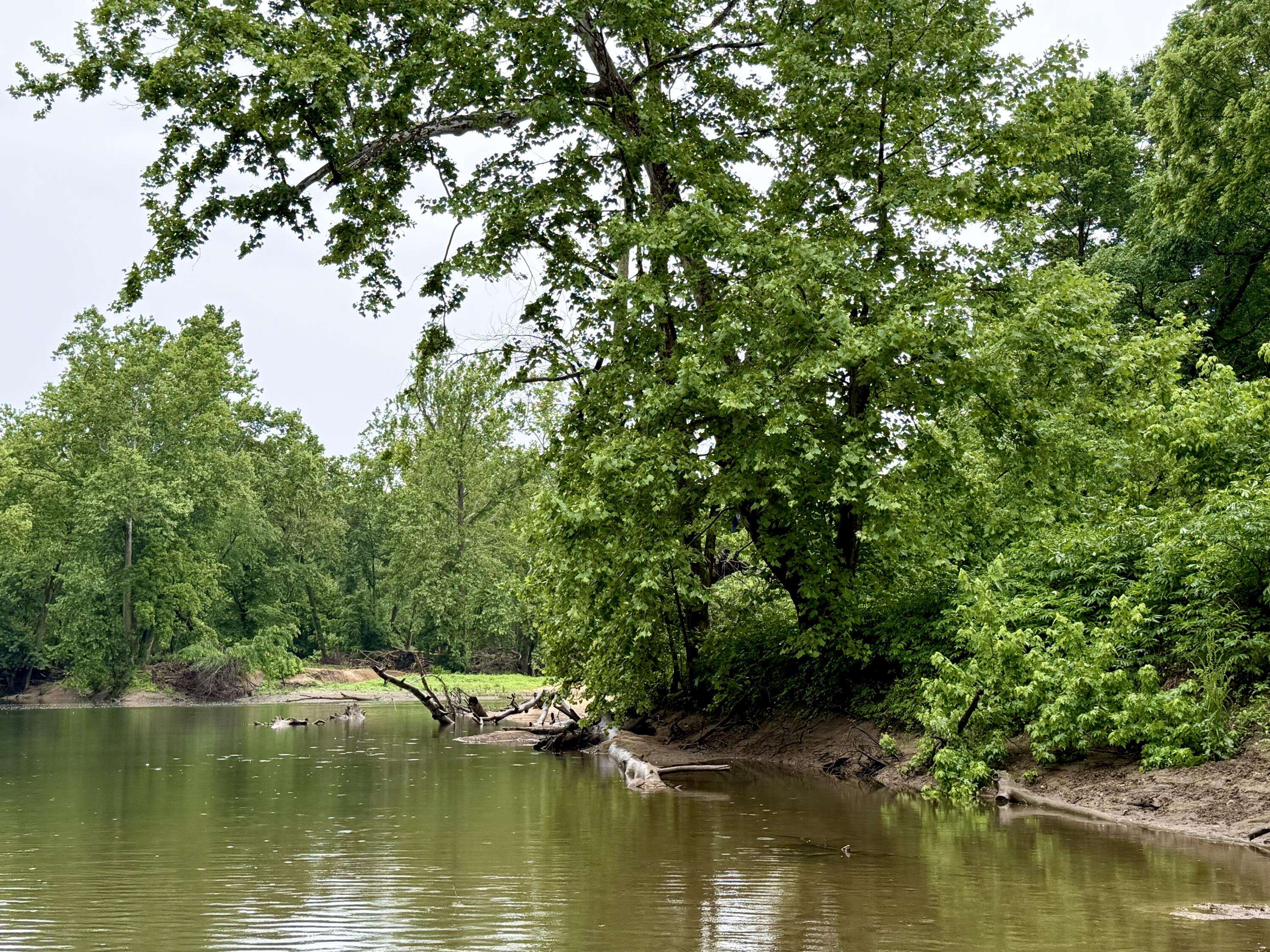 000 Sand Shoals RD, Houston, MO 65483