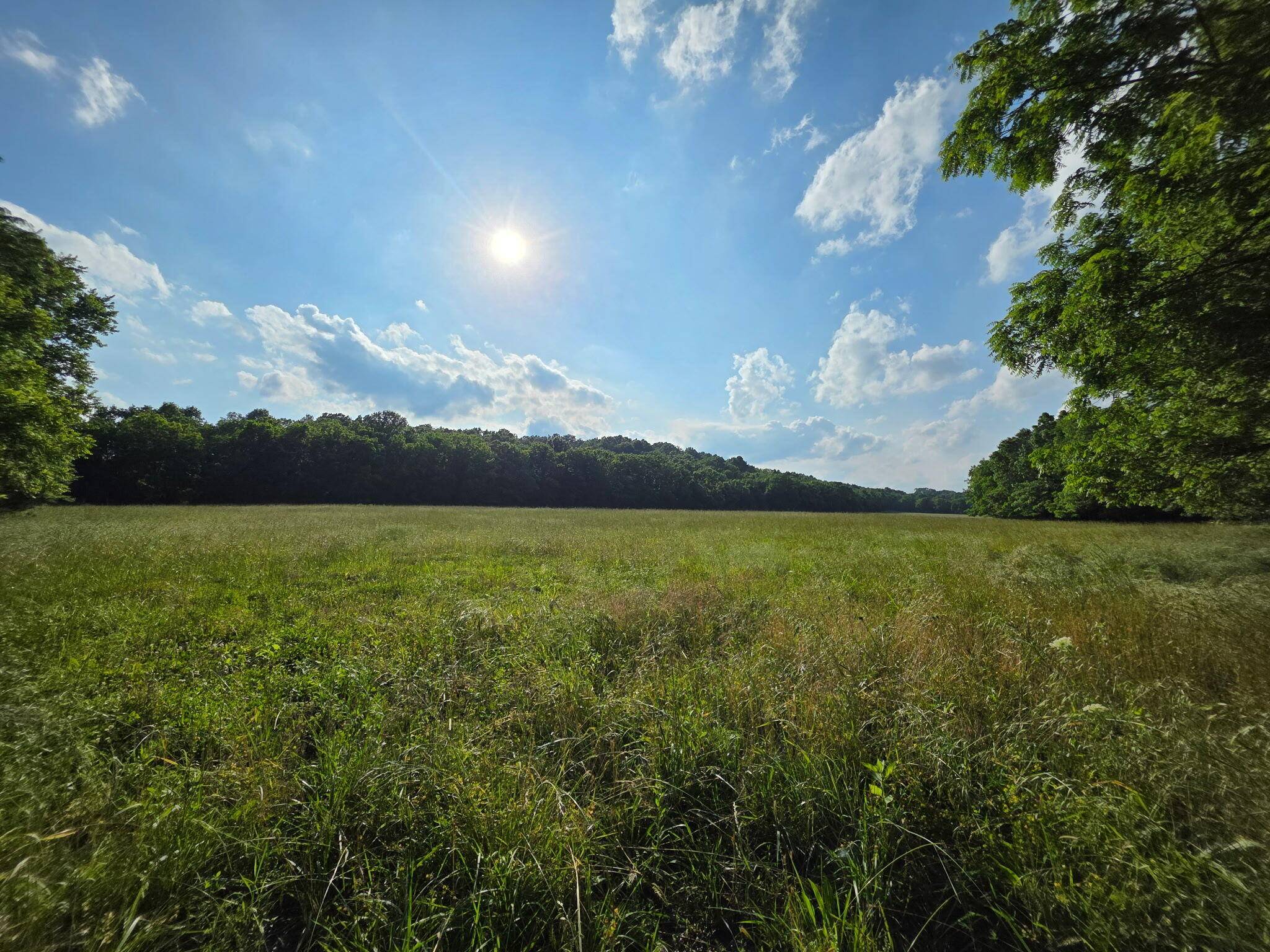 0000 State Highway Mm, Niangua, MO 65713