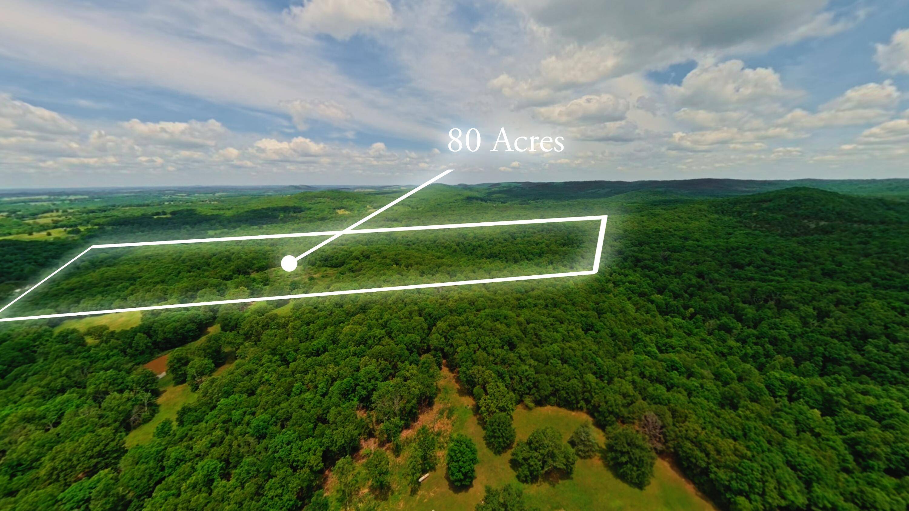 298 Eaton Run, Wasola, MO 65773