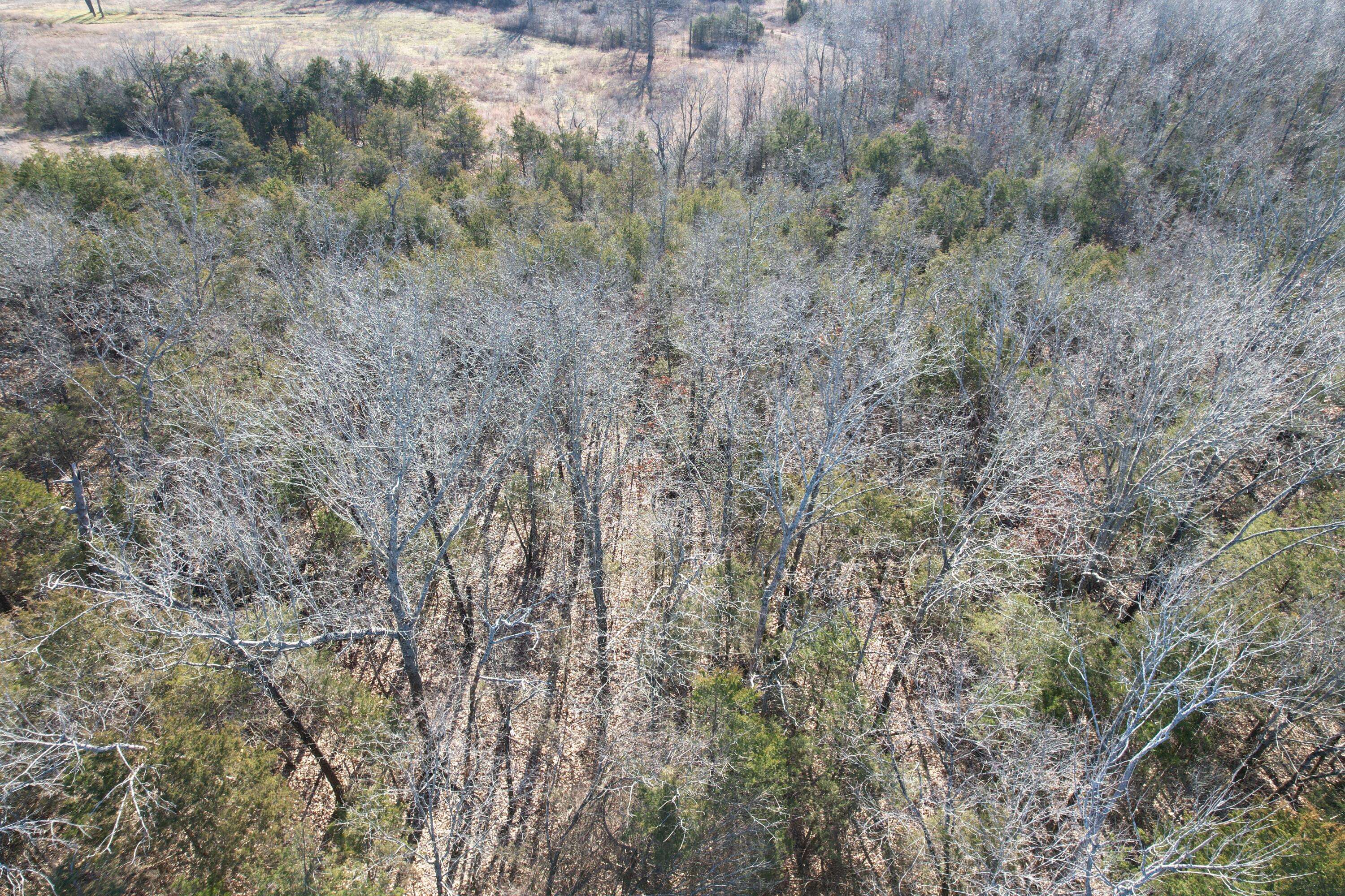 000 County Road 904, Theodosia, MO 65761