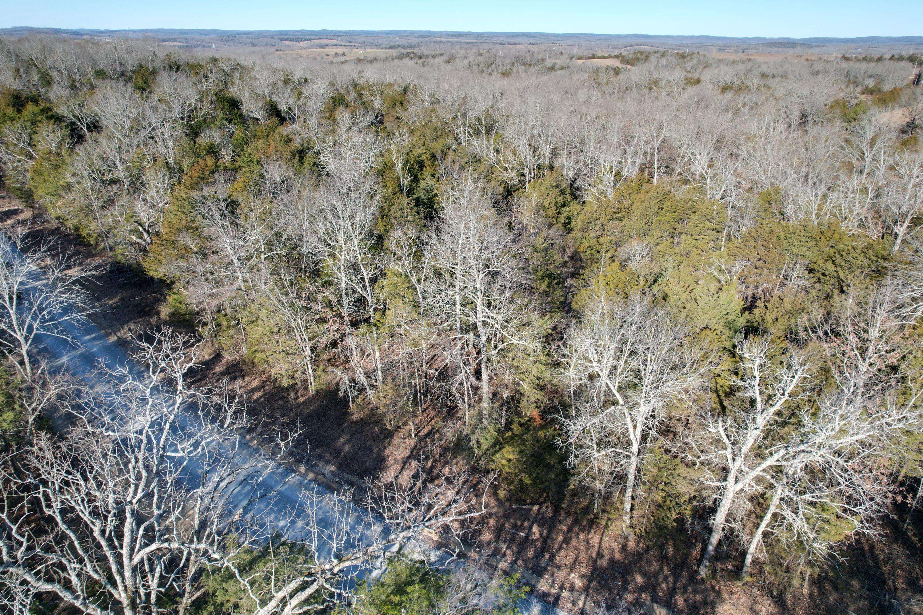 000 County Road 904, Theodosia, MO 65761