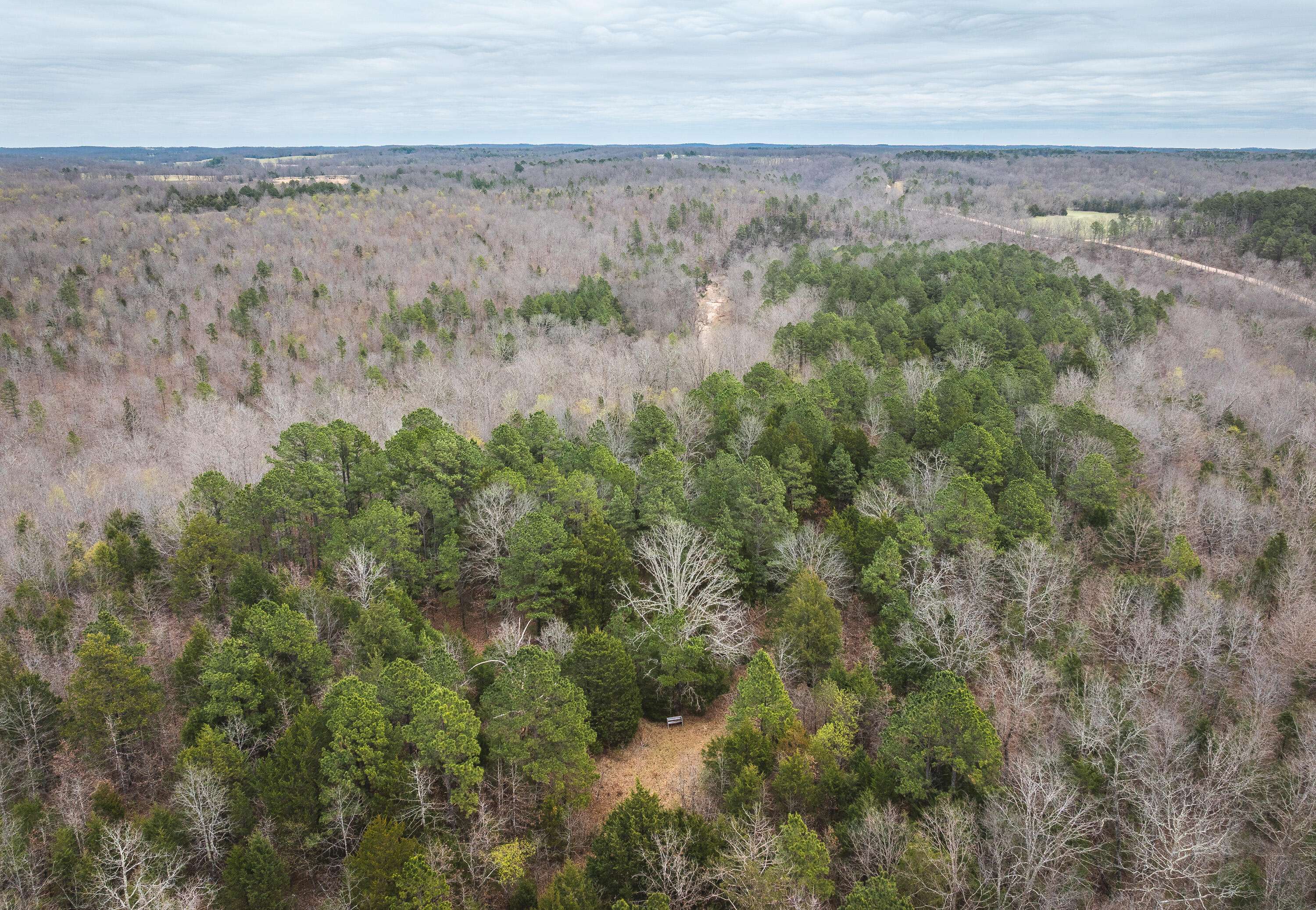 000 County Road 2660, Mountain View, MO 65548