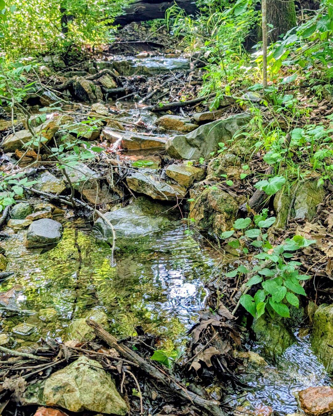 000 Linwood RD, Merriam Woods, MO 65740