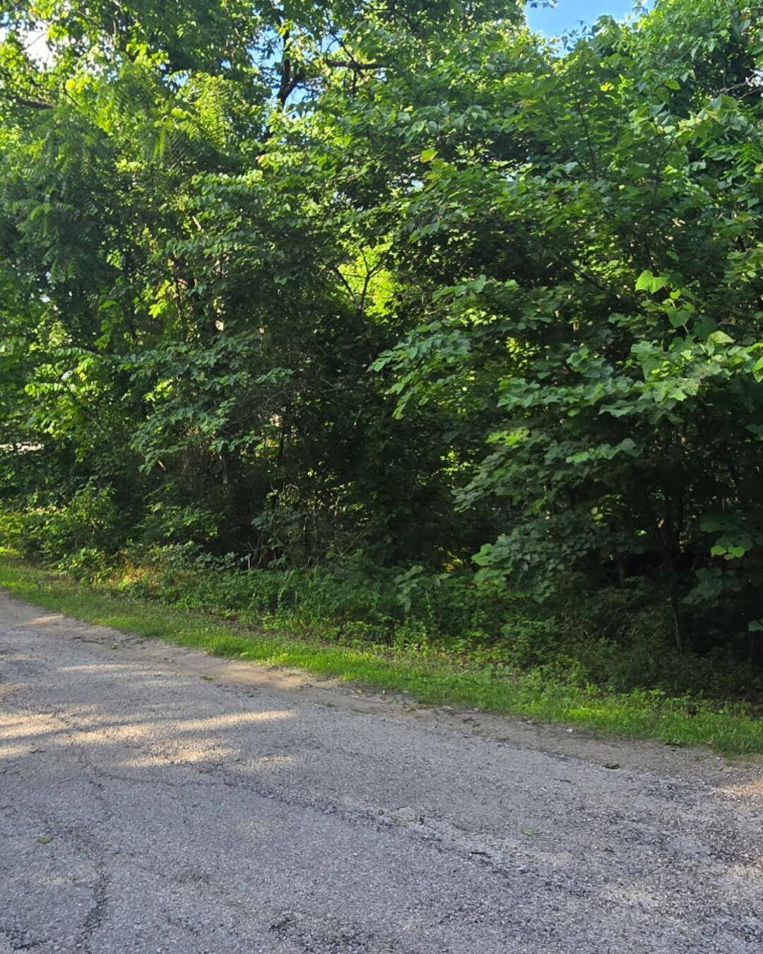 000 Linwood RD, Merriam Woods, MO 65740