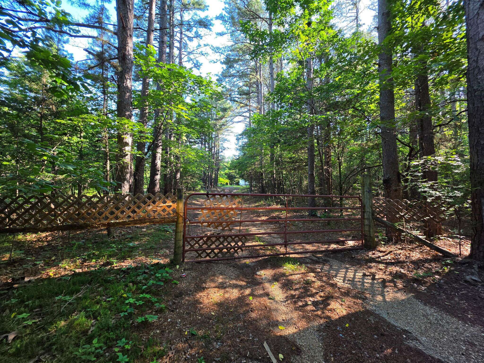1640 County Road 203, Alton, MO 65606