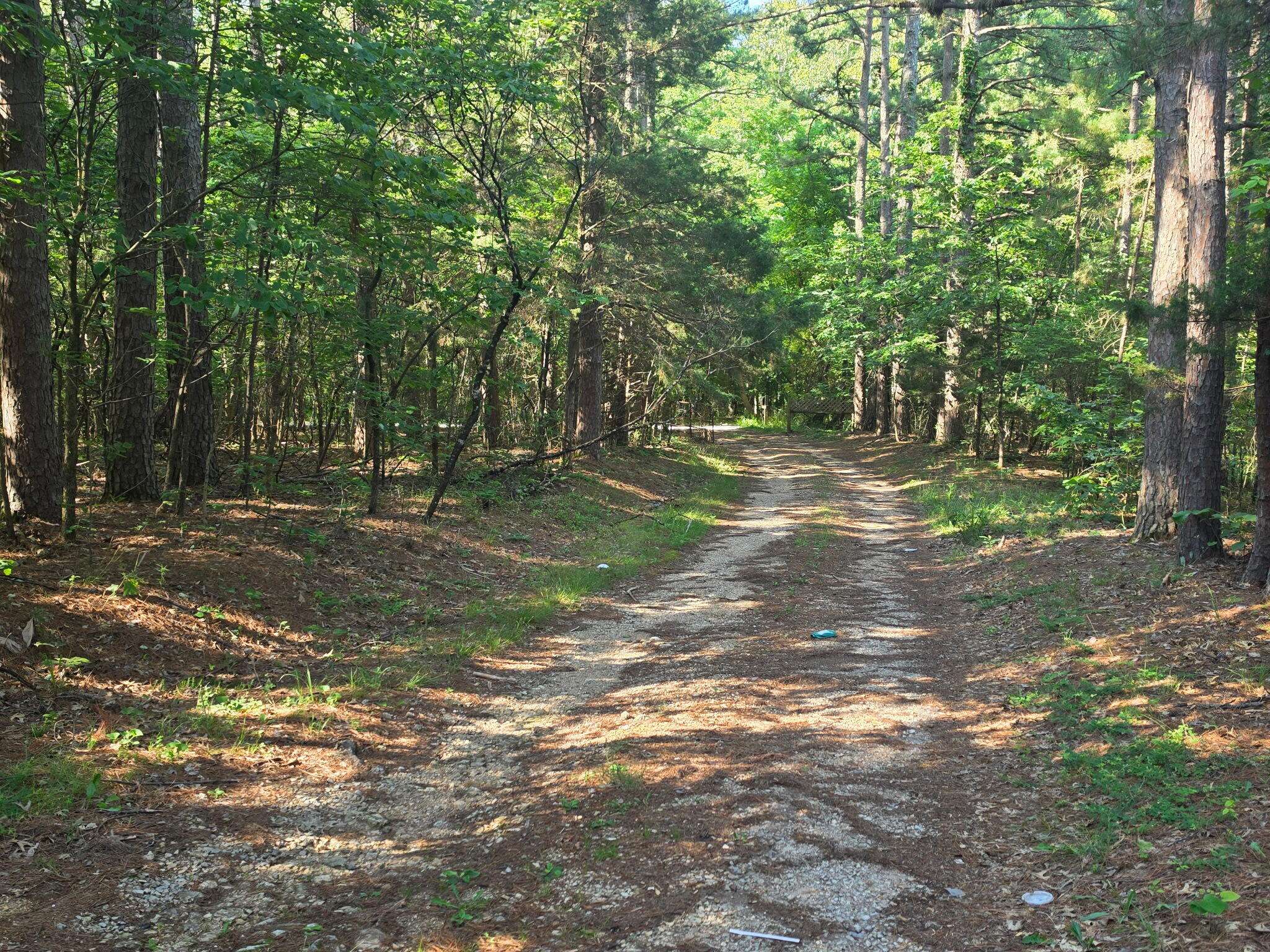 1640 County Road 203, Alton, MO 65606