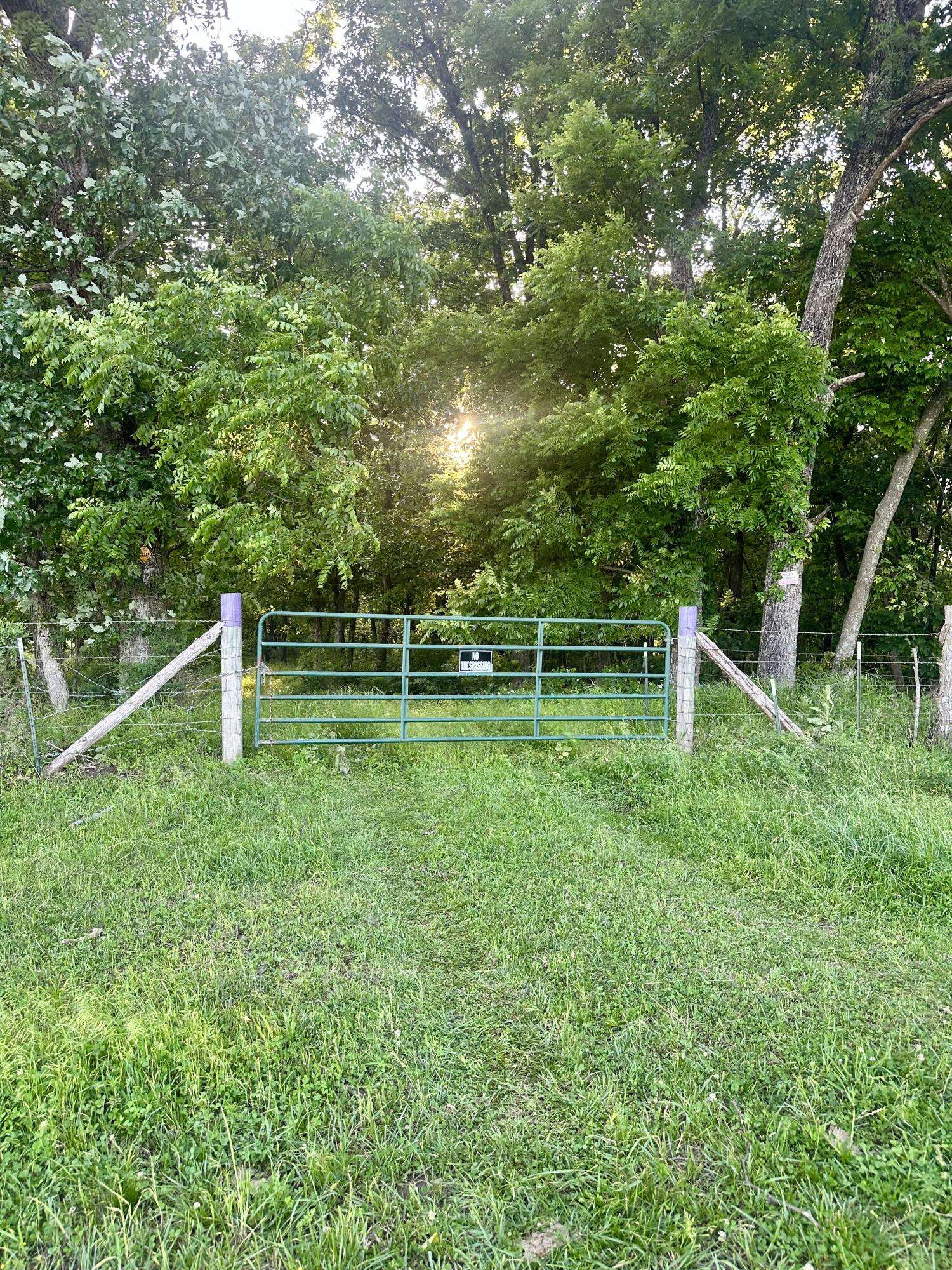 14188 County Road 195, Wheatland, MO 65779