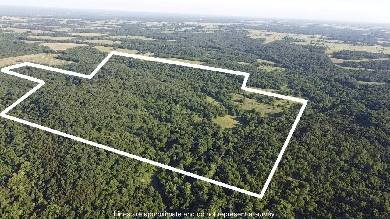14188 County Road 195, Wheatland, MO 65779