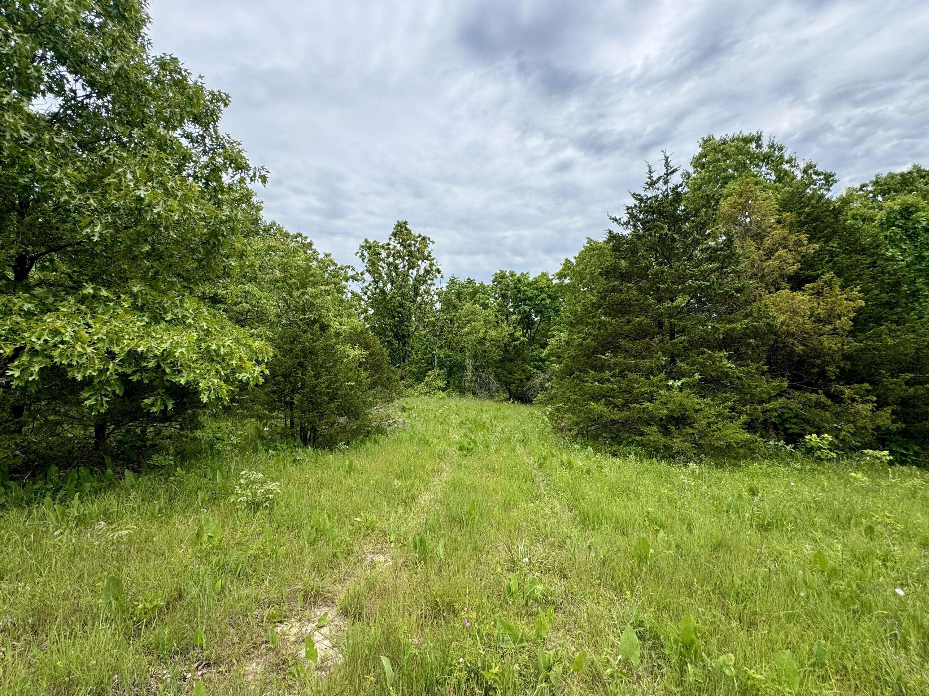 000 Cottengim Road RD, Macomb, MO 65702