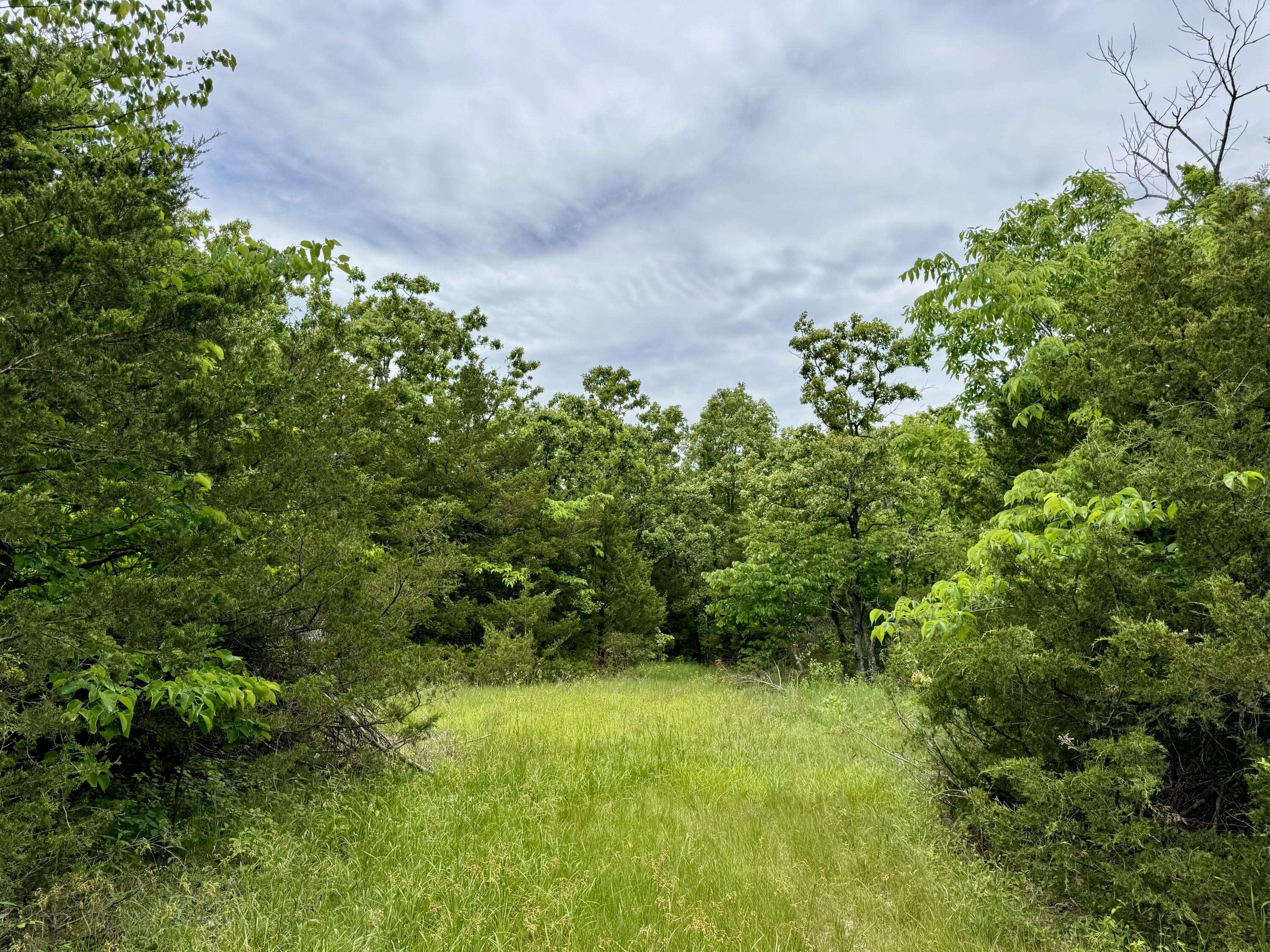 000 Cottengim Road RD, Macomb, MO 65702