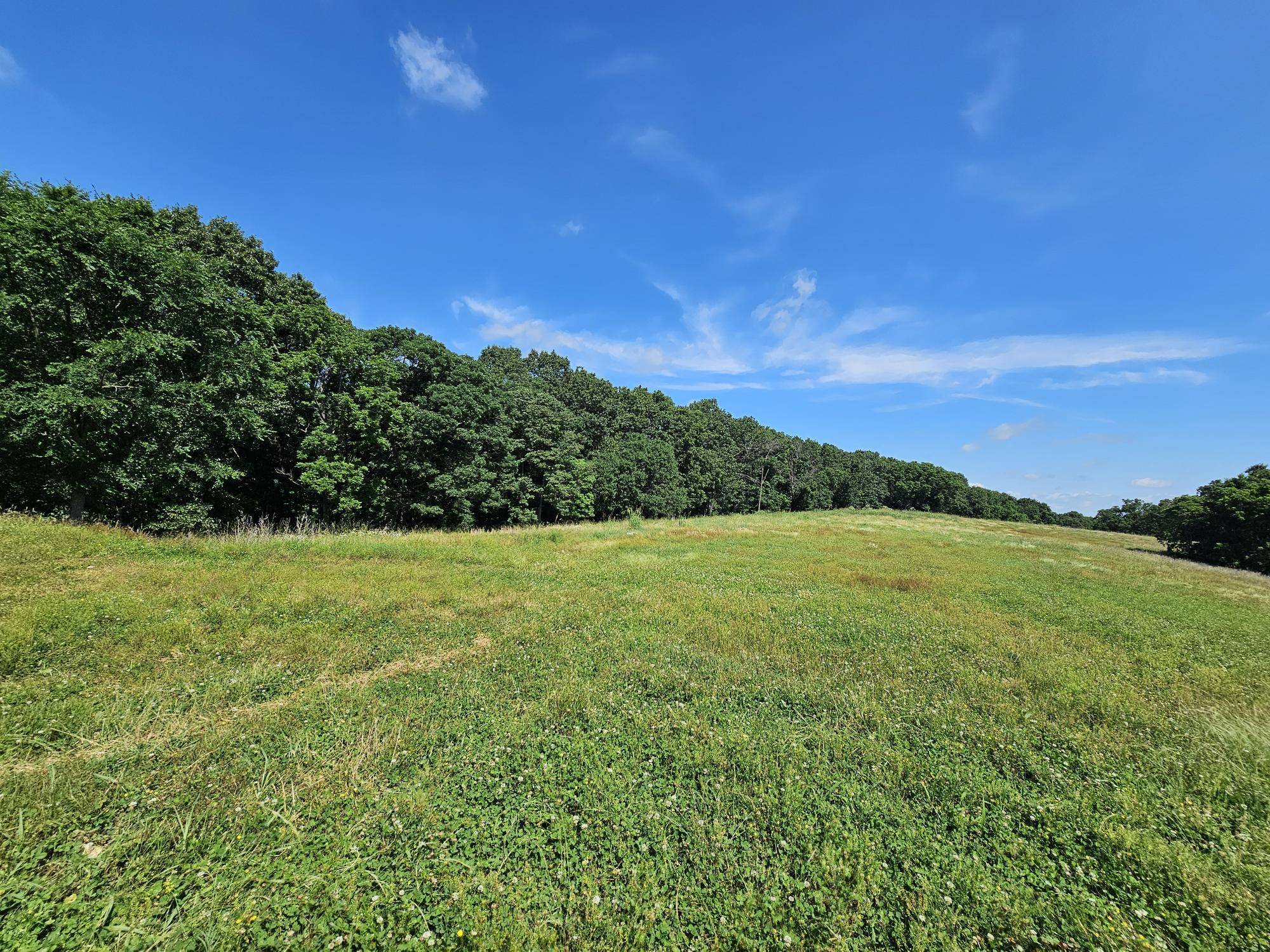 5383 Cowan Ridge RD, Powell, MO 65730