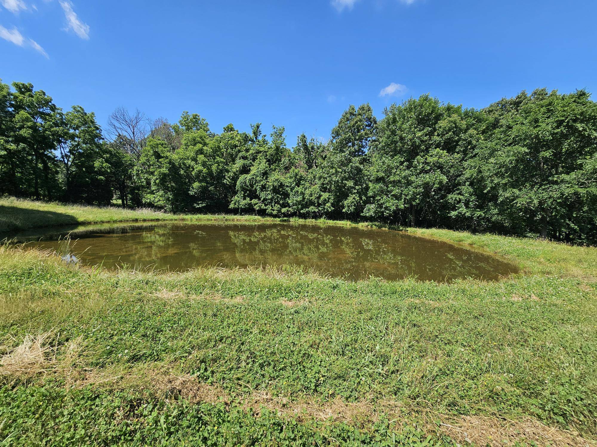 5383 Cowan Ridge RD, Powell, MO 65730