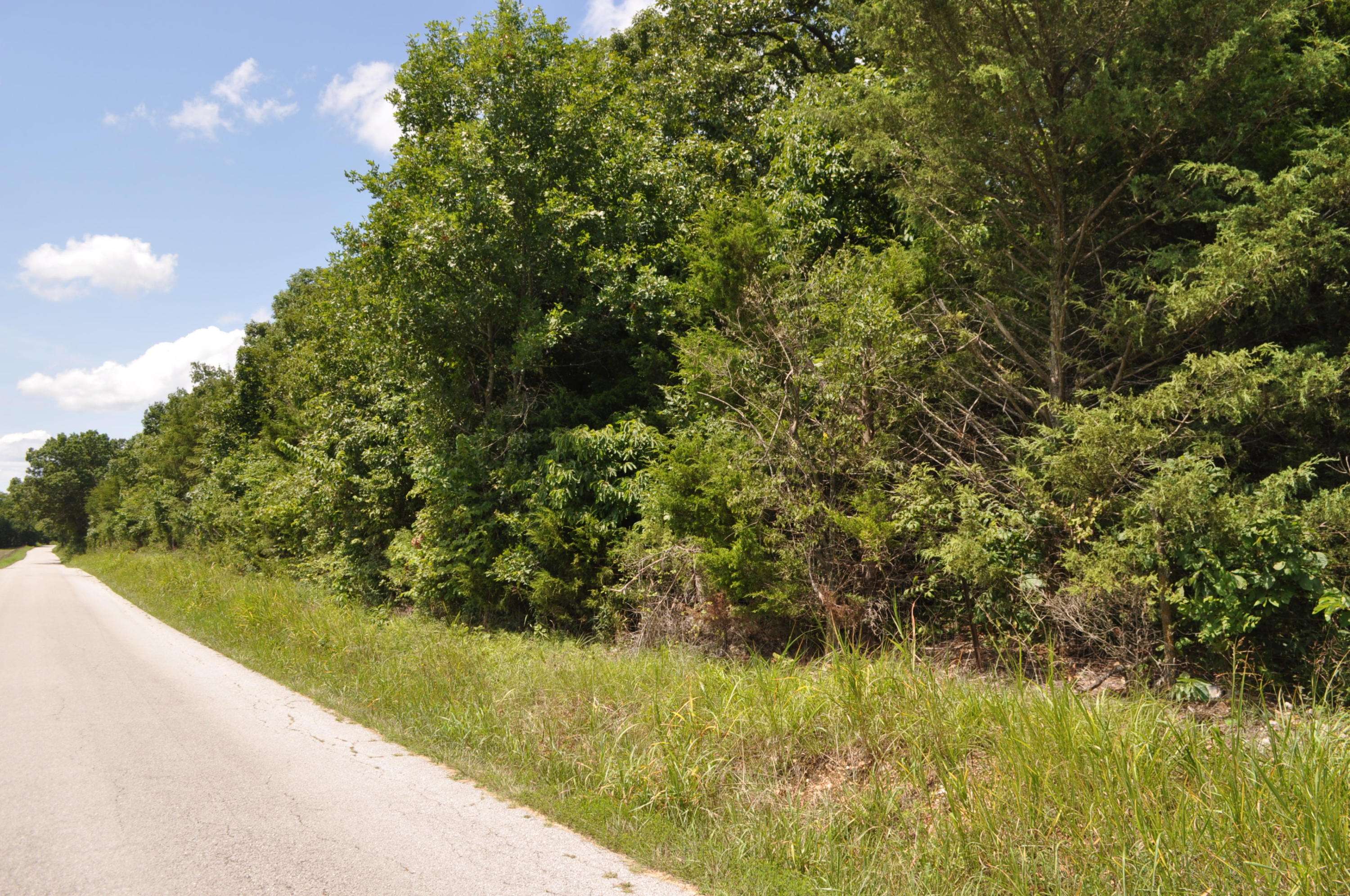 000 E 517th Road, Halfway, MO 65663