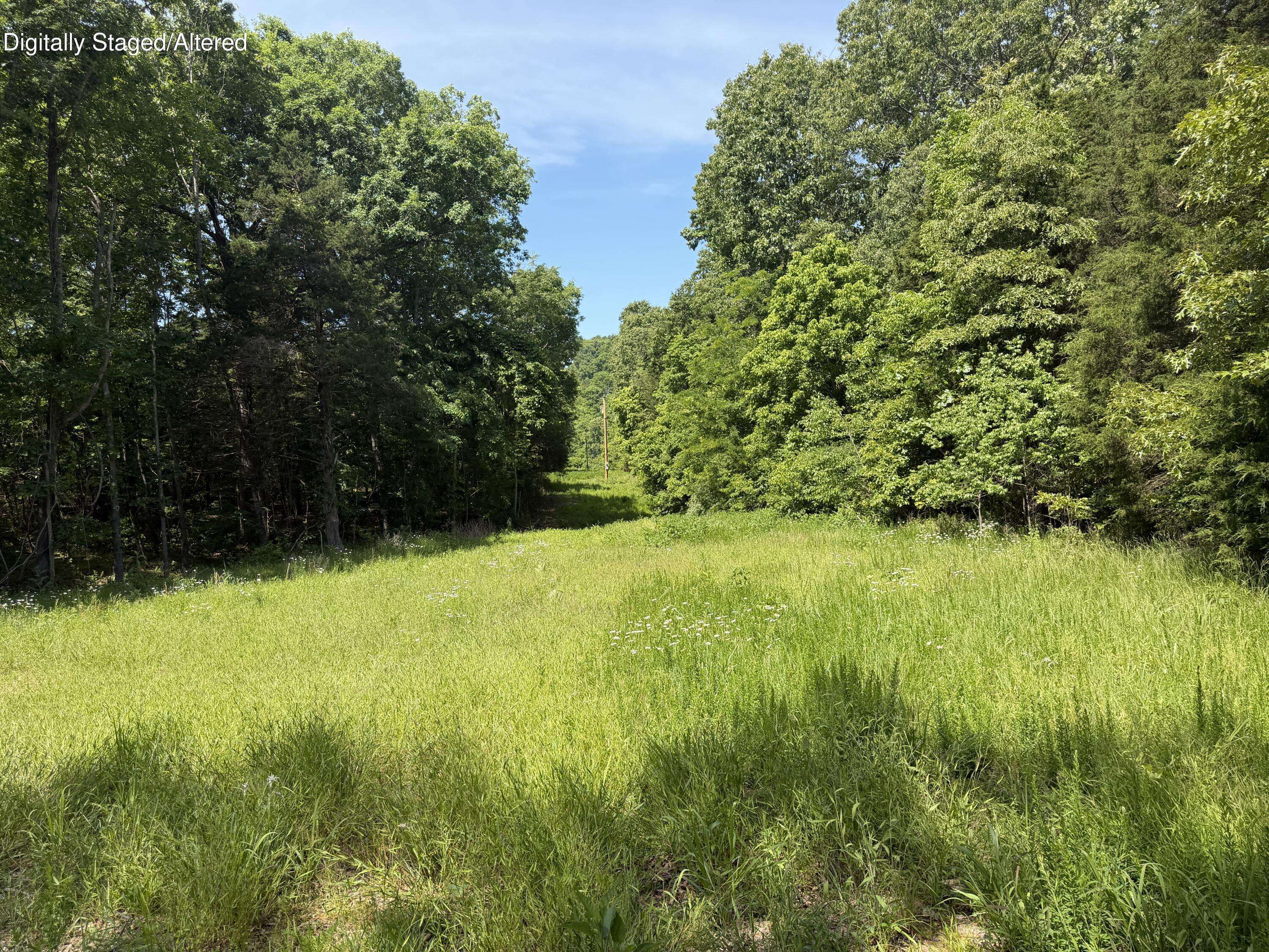 000 County Road 318 #Lot 5, Tecumseh, MO 65760