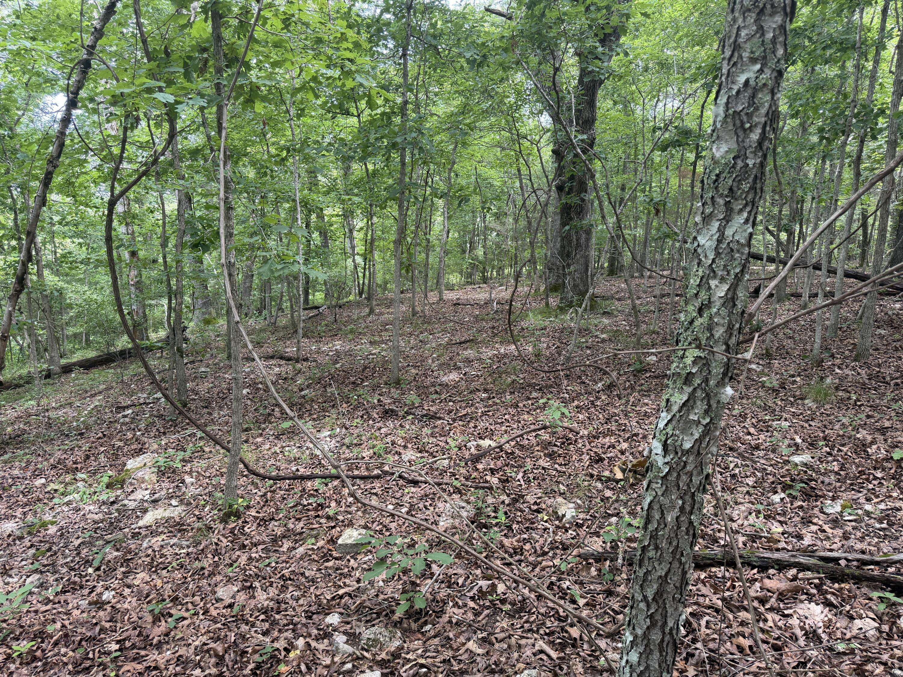 000 County Road 318 #Lot 7, Tecumseh, MO 65760