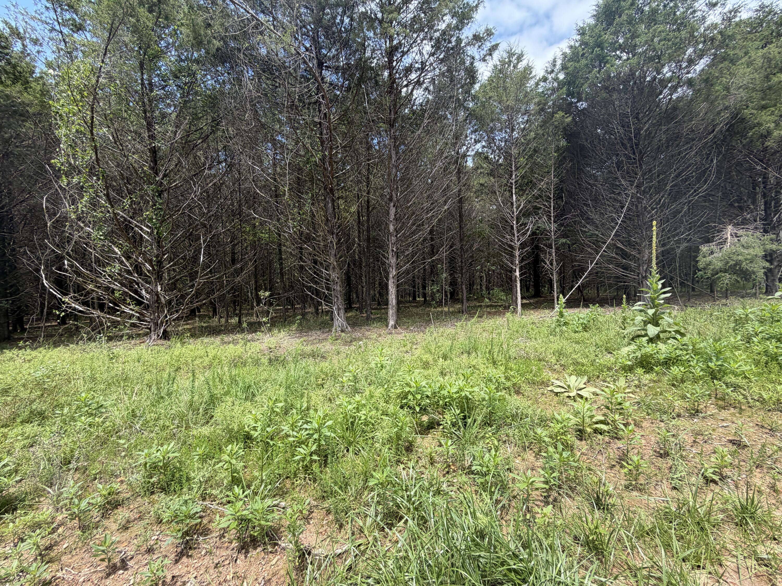 000 County Road 318 #Lot 8, Tecumseh, MO 65760