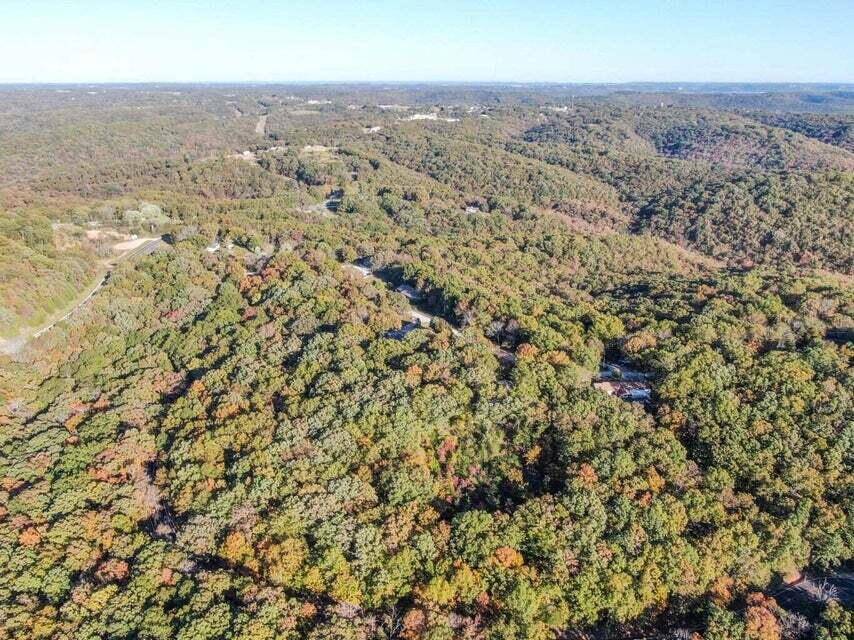 Tbd Ance Acres LN #15 & 16, Reeds Spring, MO 65737