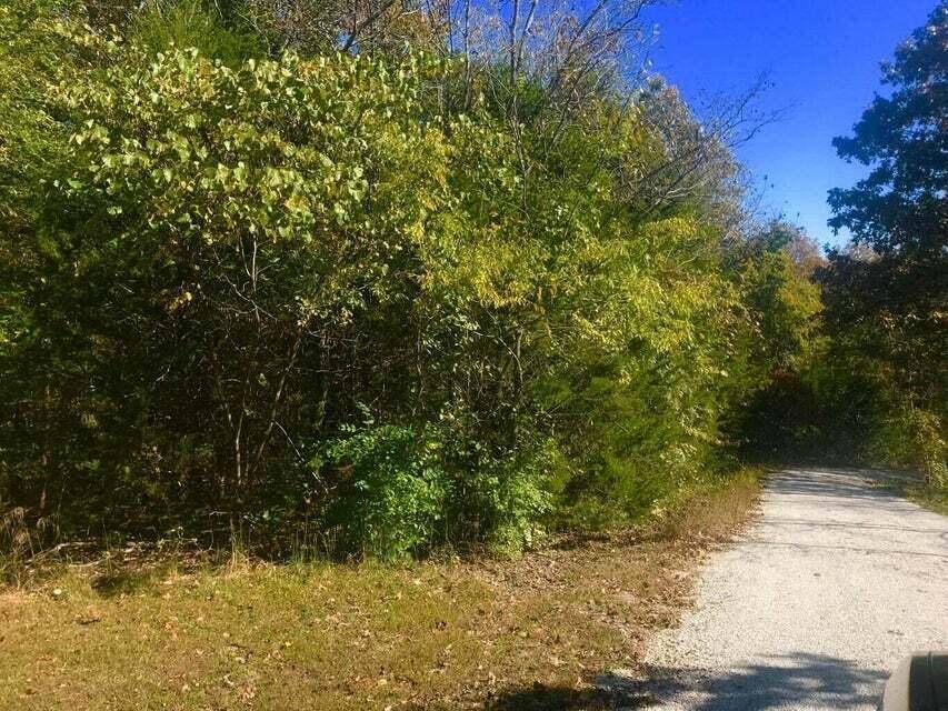 Tbd Ance Acres LN #15 & 16, Reeds Spring, MO 65737