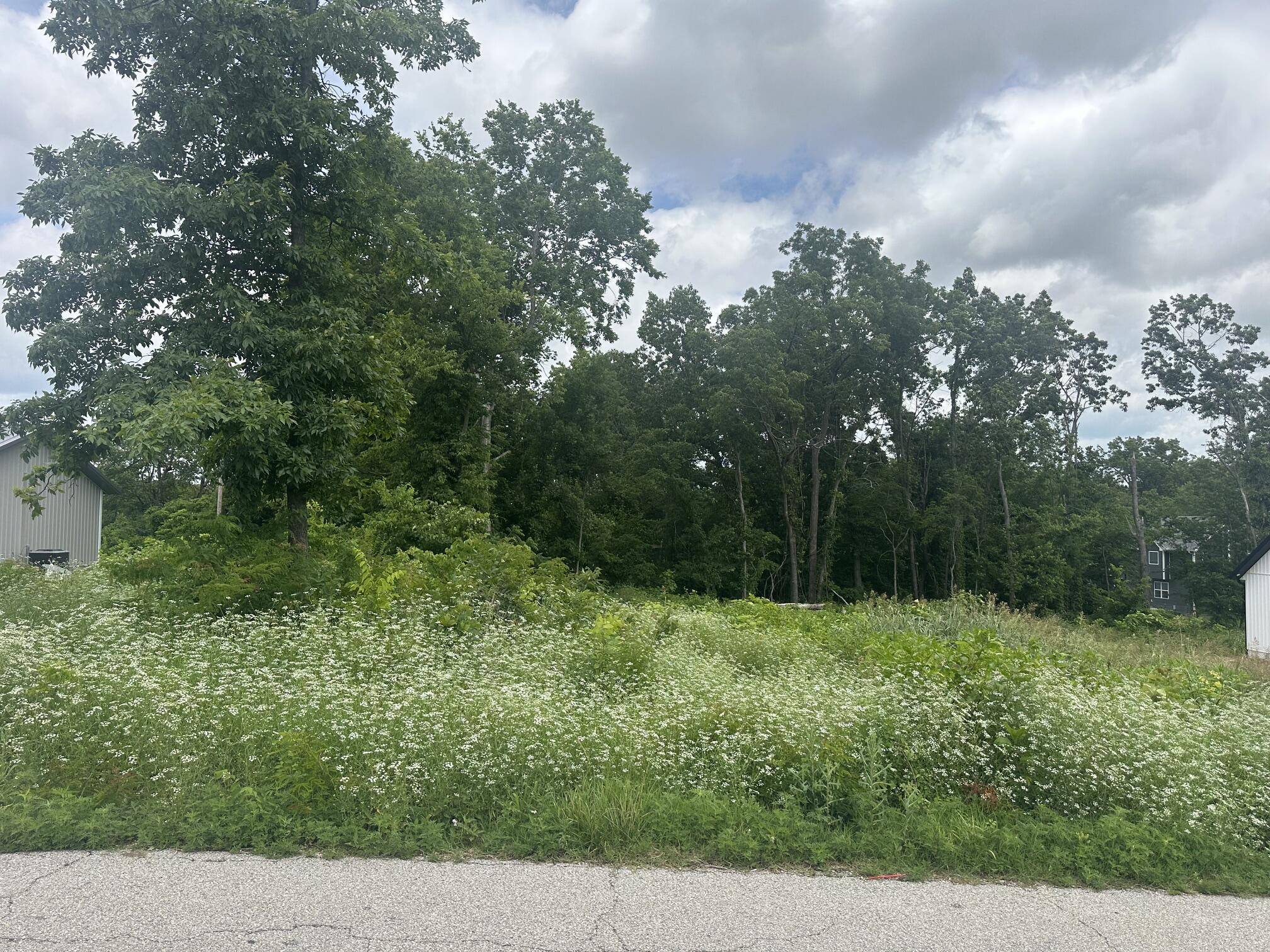 Lot 17 Creswell AVE, Joplin, MO 64801