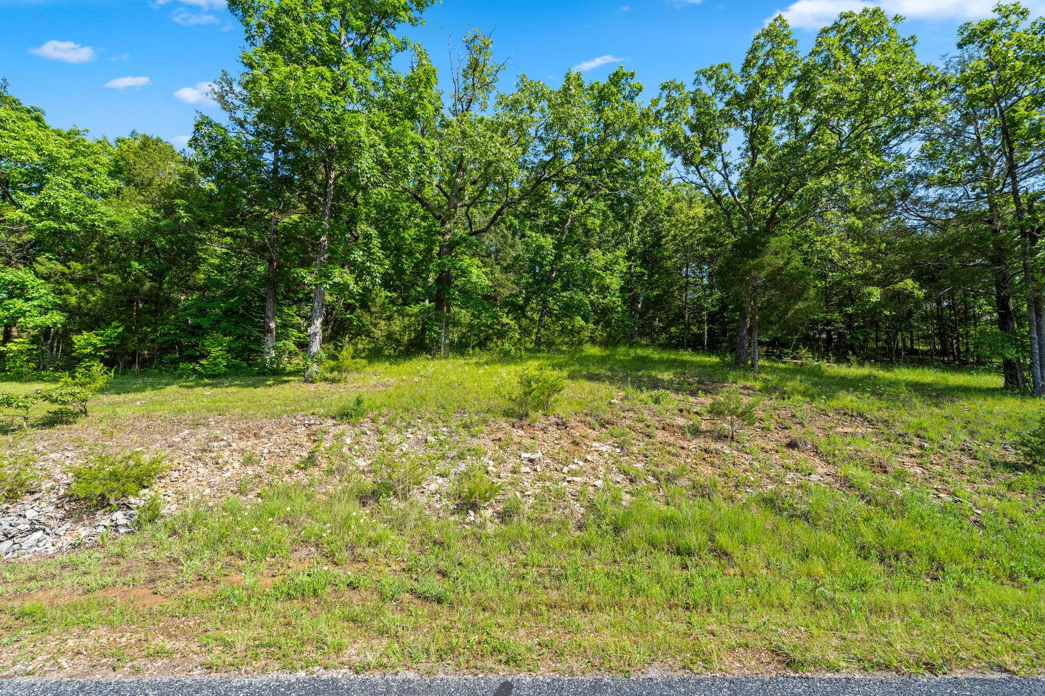 Tbd Cedar Bluff  Lot 91a, Saddlebrooke, MO 65630