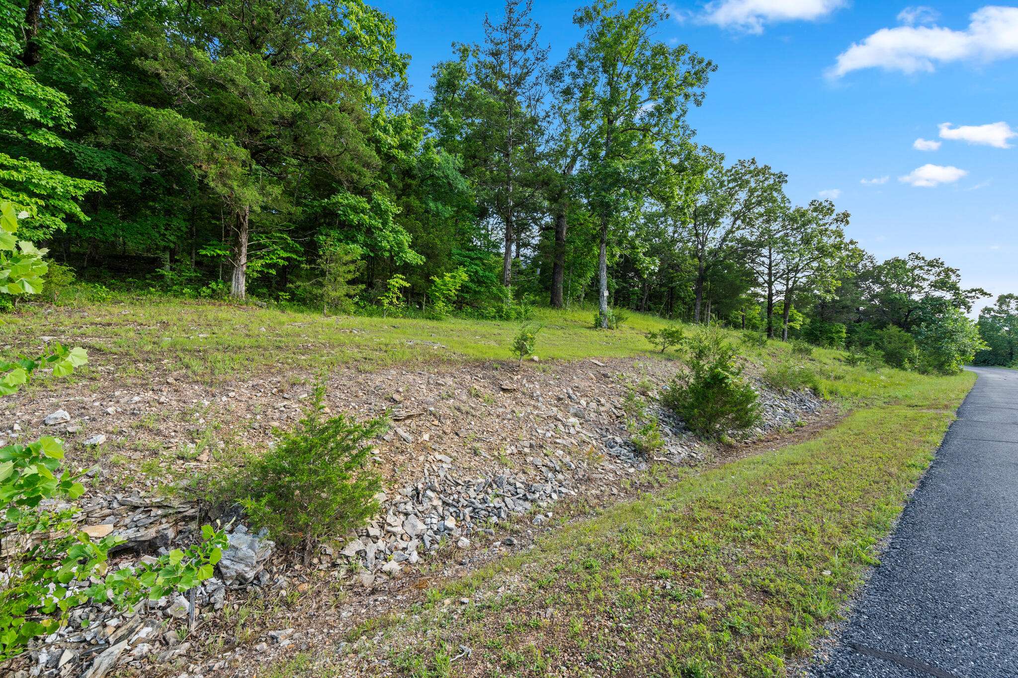 Tbd Cedar Bluff  Lot 91a, Saddlebrooke, MO 65630