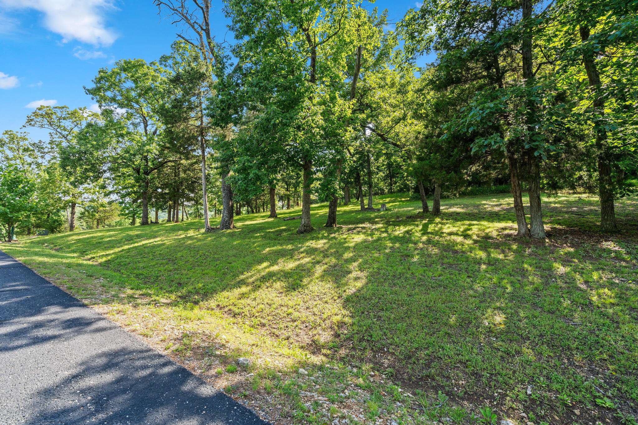 Tbd Cedar Bluff  Lot 94, Saddlebrooke, MO 65630