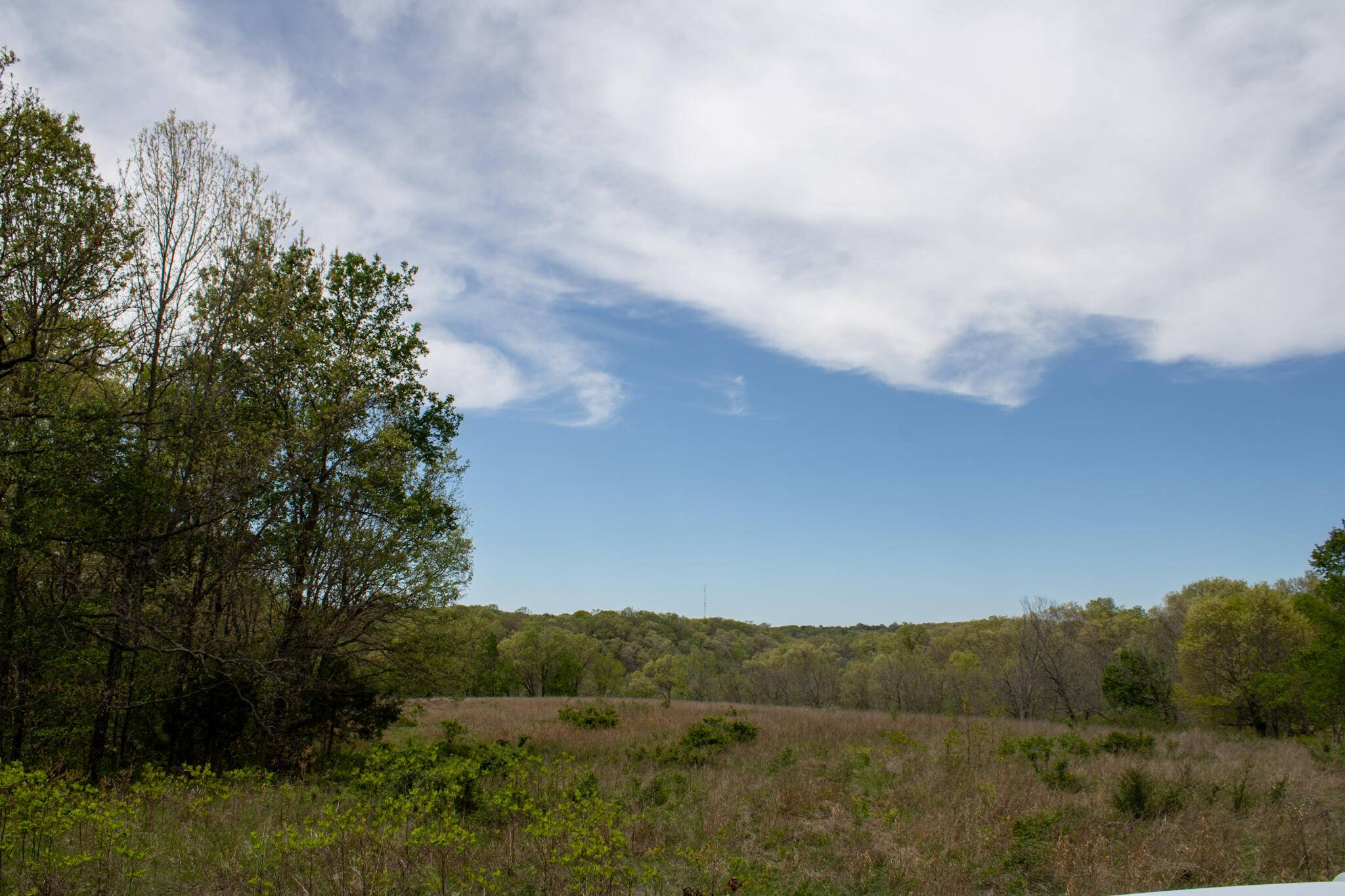 370 Hayes Spring DR, Crane, MO 65633
