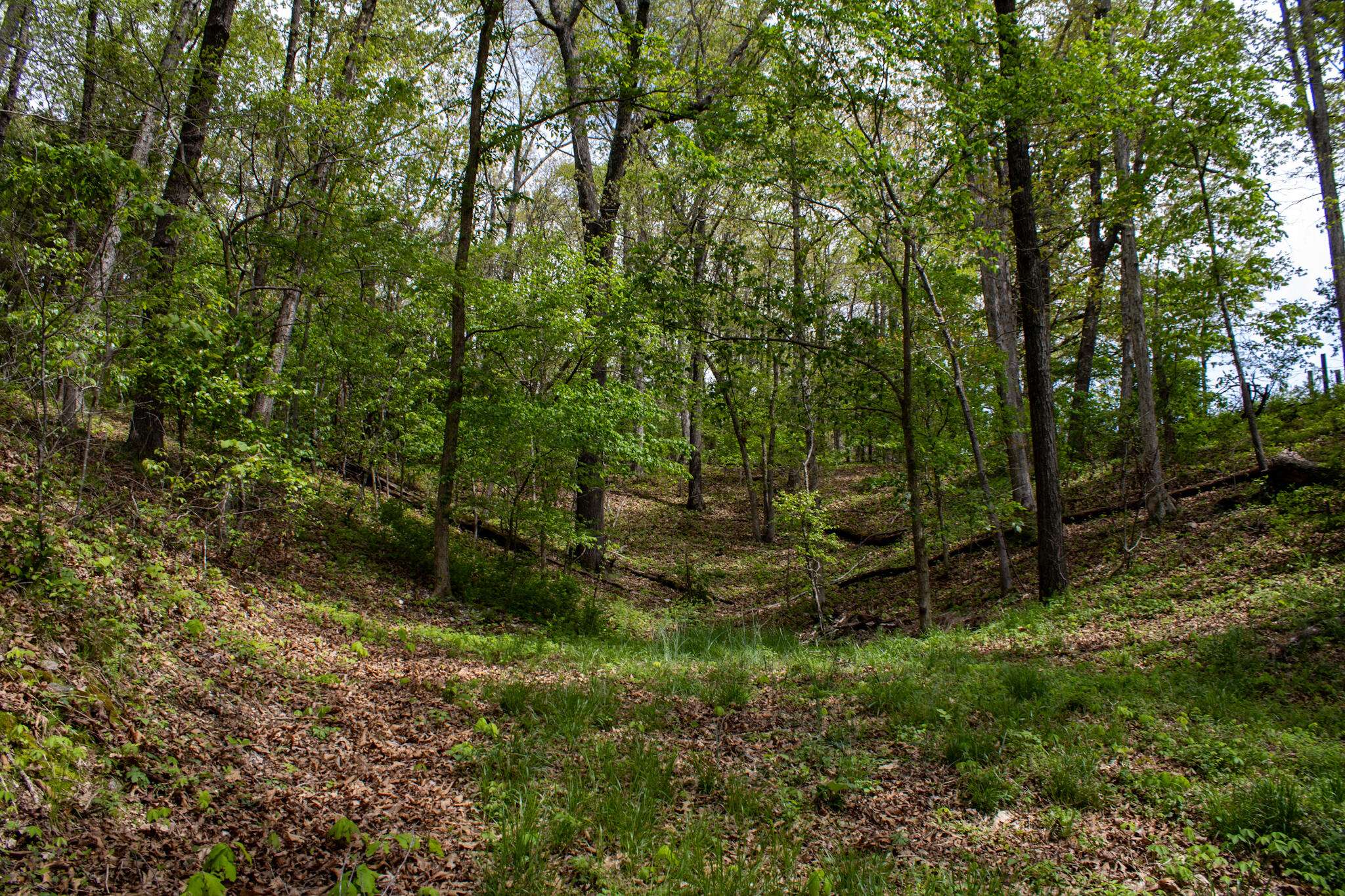 370 Hayes Spring DR, Crane, MO 65633