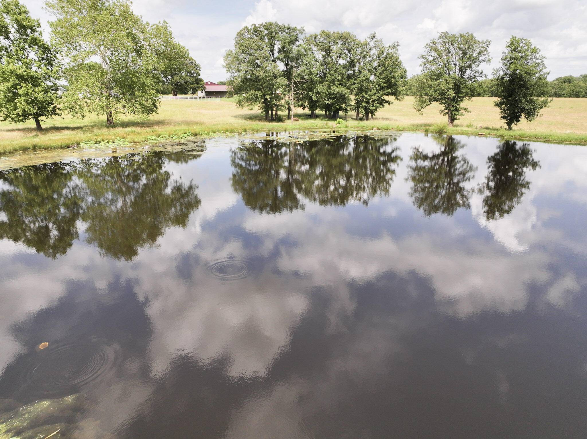 29282 Militia RD, El Dorado Springs, MO 64744