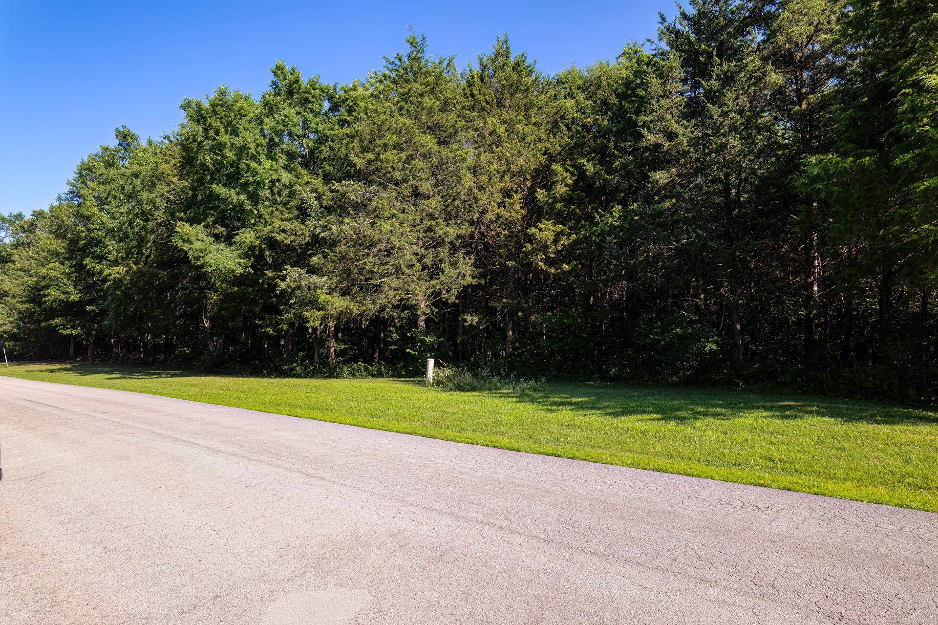 000 Green Cypress/ Eagle Pt Lt 87 LN, Shell Knob, MO 65747