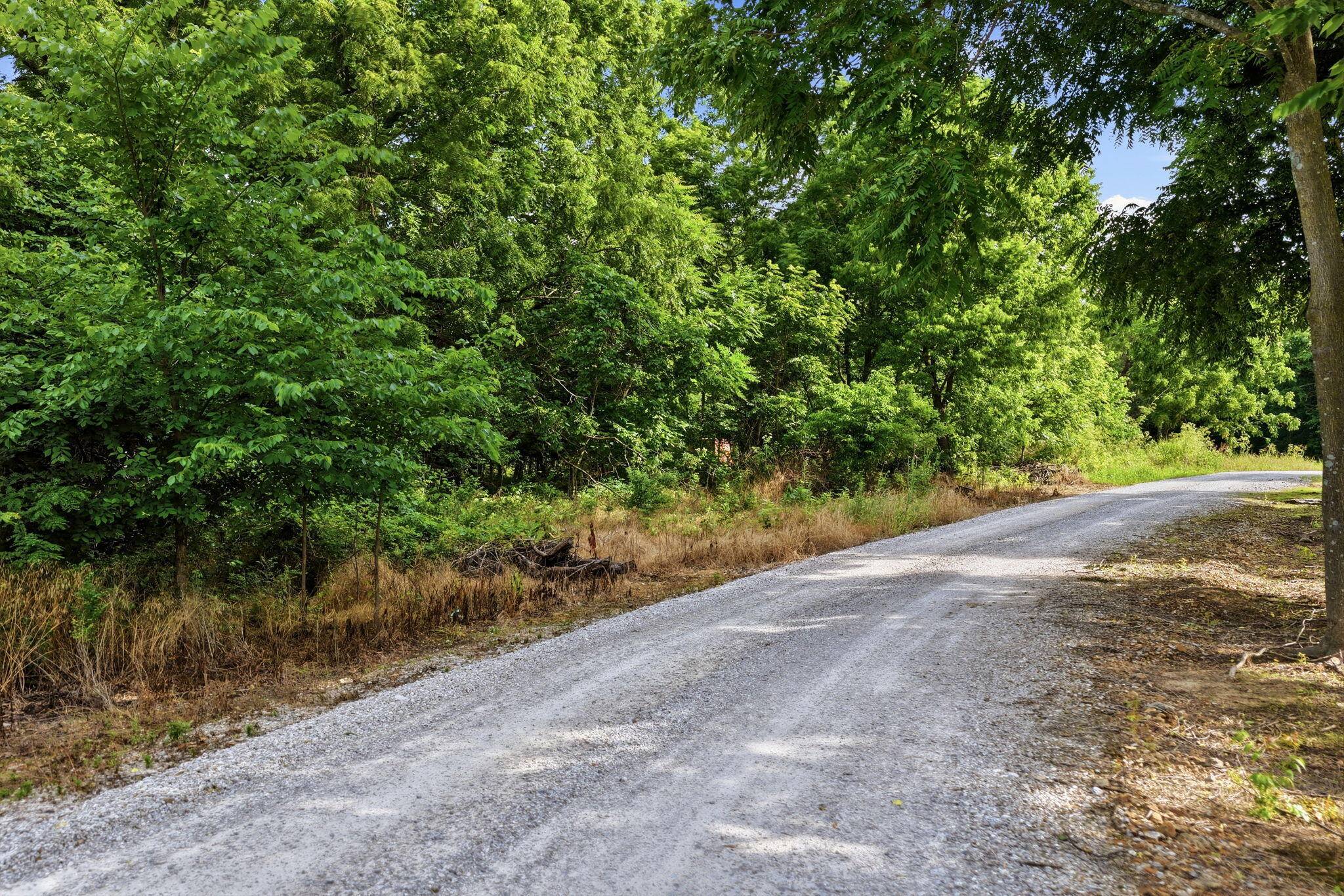 000 S 96th RD #Lots 10,11, 14, & 15, Bolivar, MO 65613