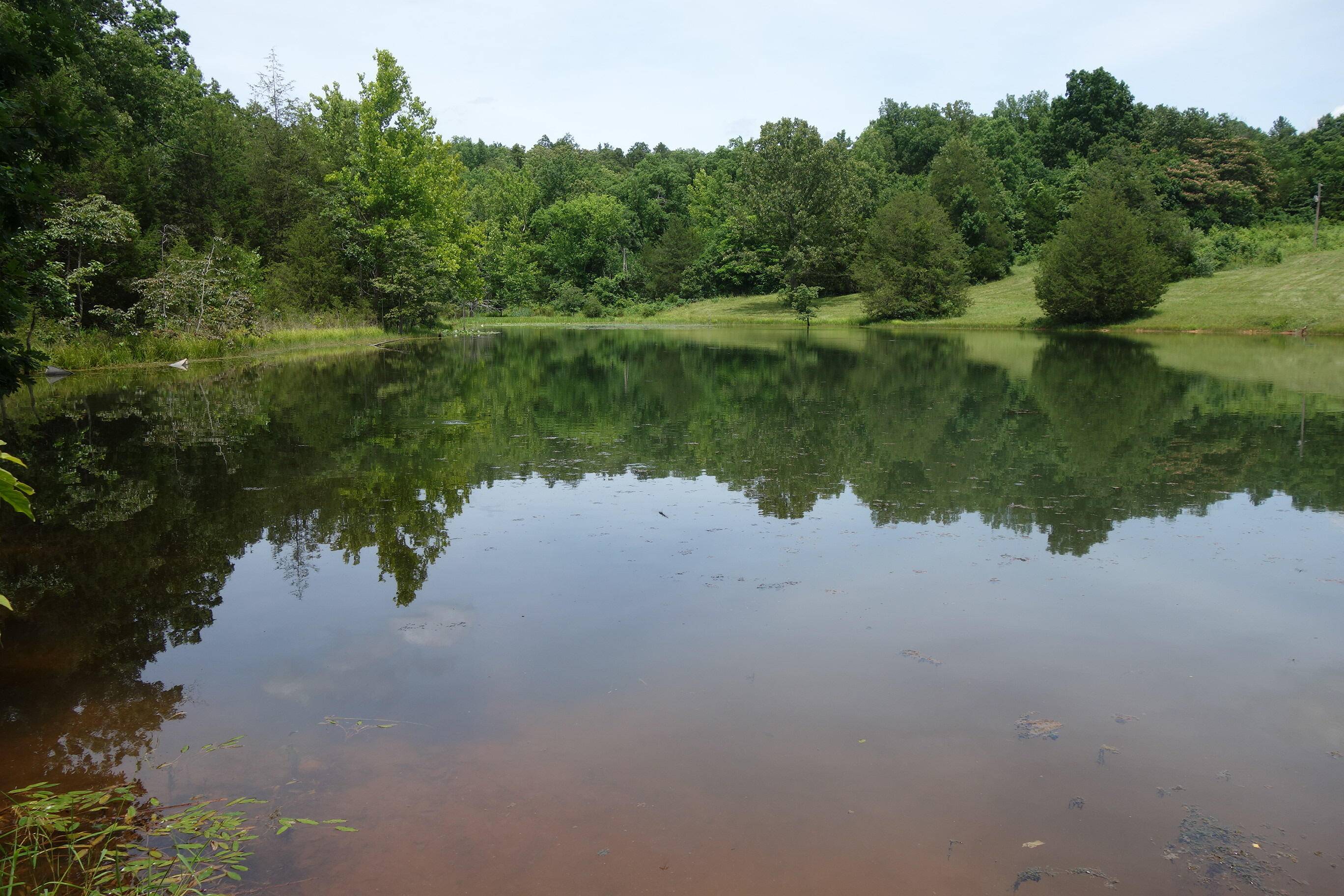 000 County Road 522, Winona, MO 65588