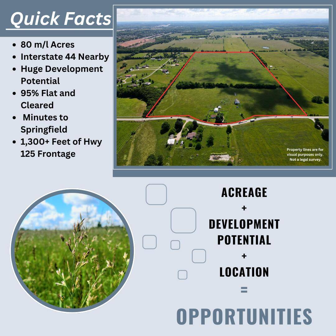 3246 N State Highway 125, Strafford, MO 65757