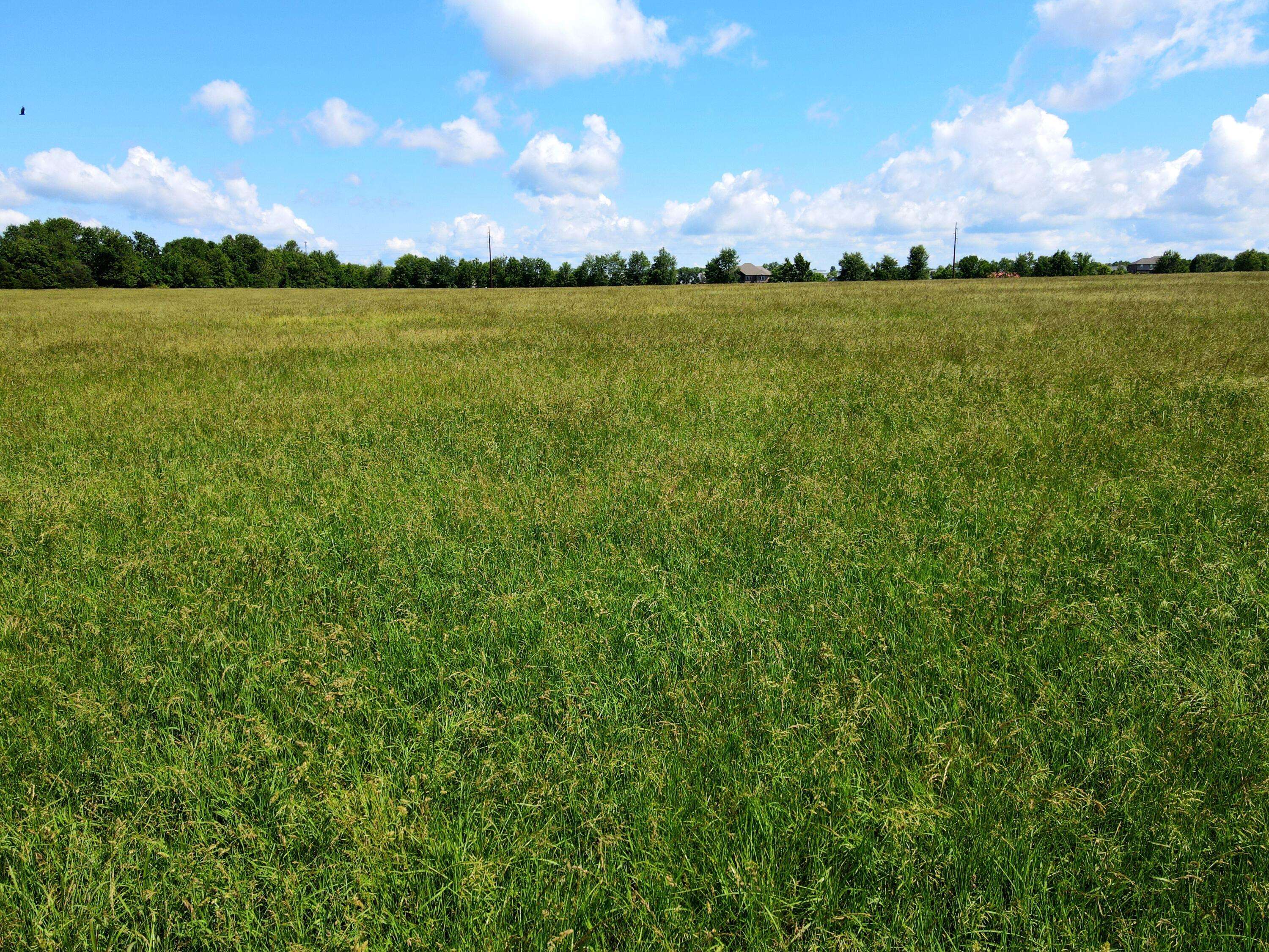 000 N Farm Road 231, Strafford, MO 65757