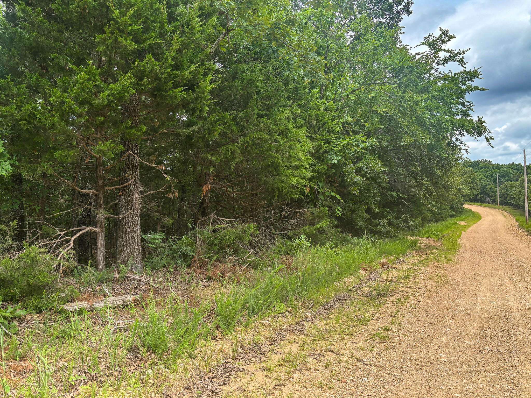 000 County Road 815, Gainesville, MO 65655