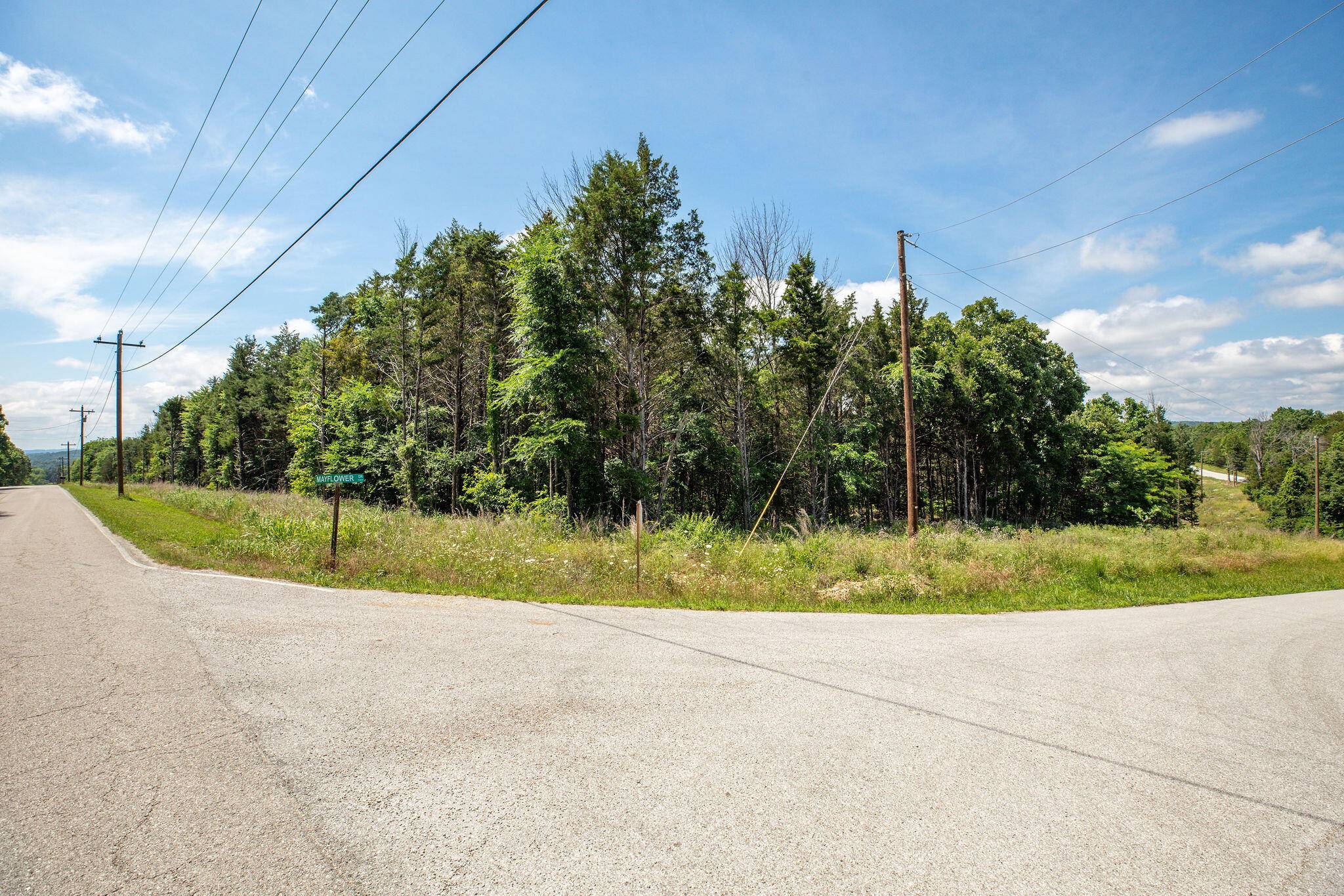 205 Mayflower DR, Lampe, MO 65681