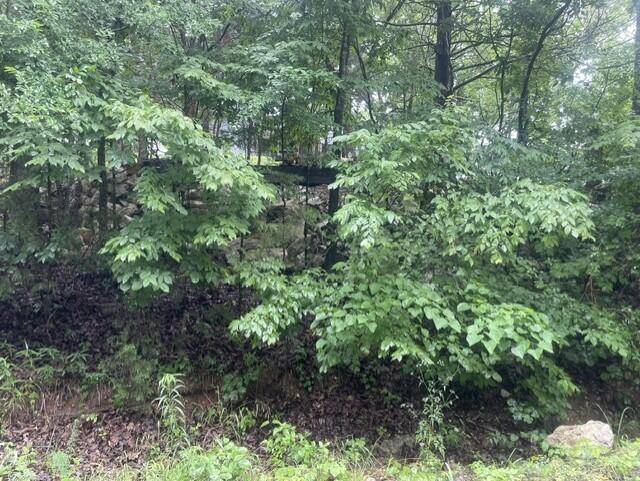 000 Sun Perch LN, Kimberling City, MO 65686