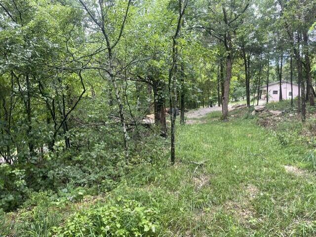 000 Sun Perch LN, Kimberling City, MO 65686