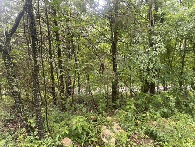 000 Sun Perch LN, Kimberling City, MO 65686