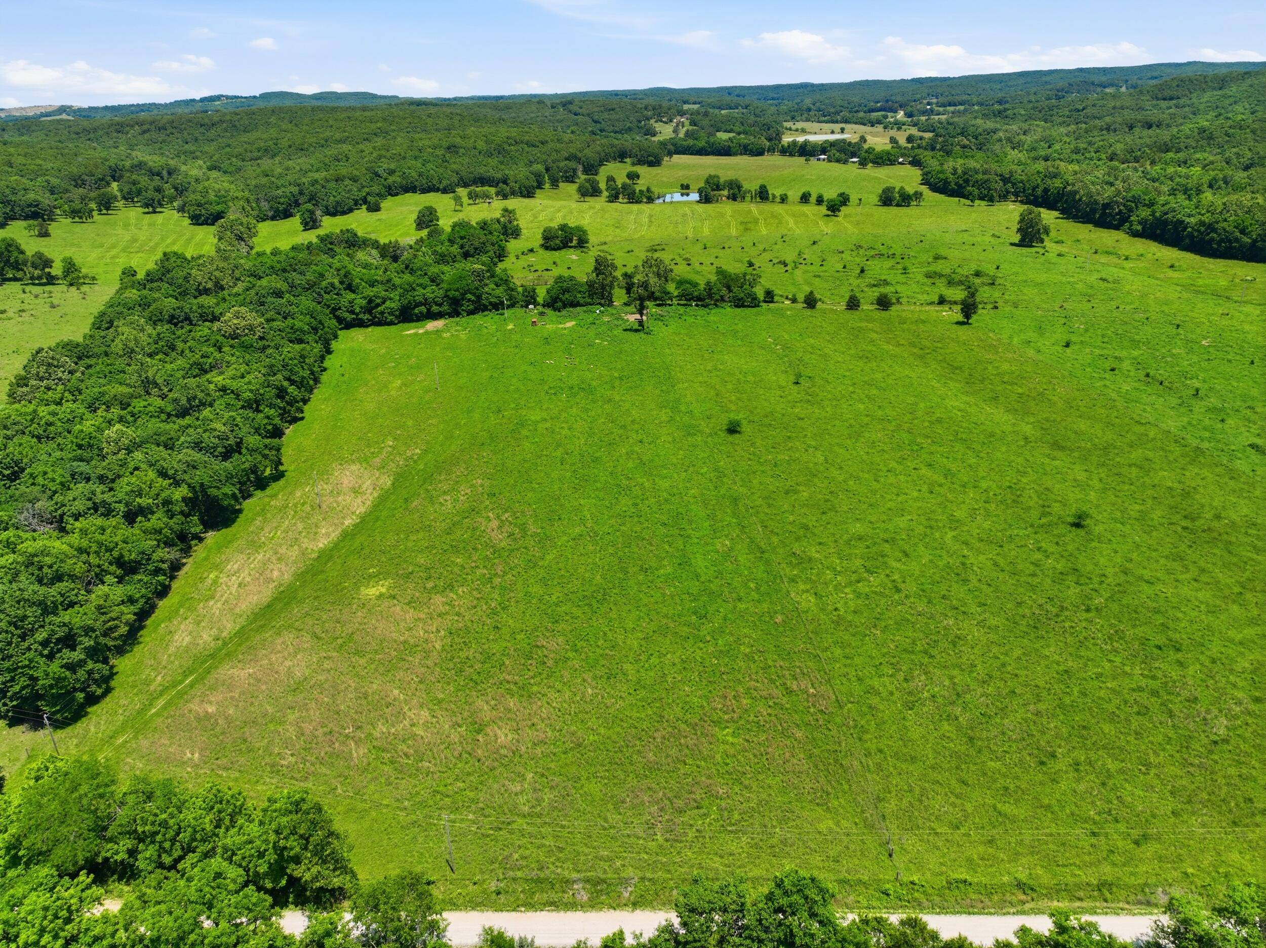 000 Pleasant Hill RD, Mountain Grove, MO 65711