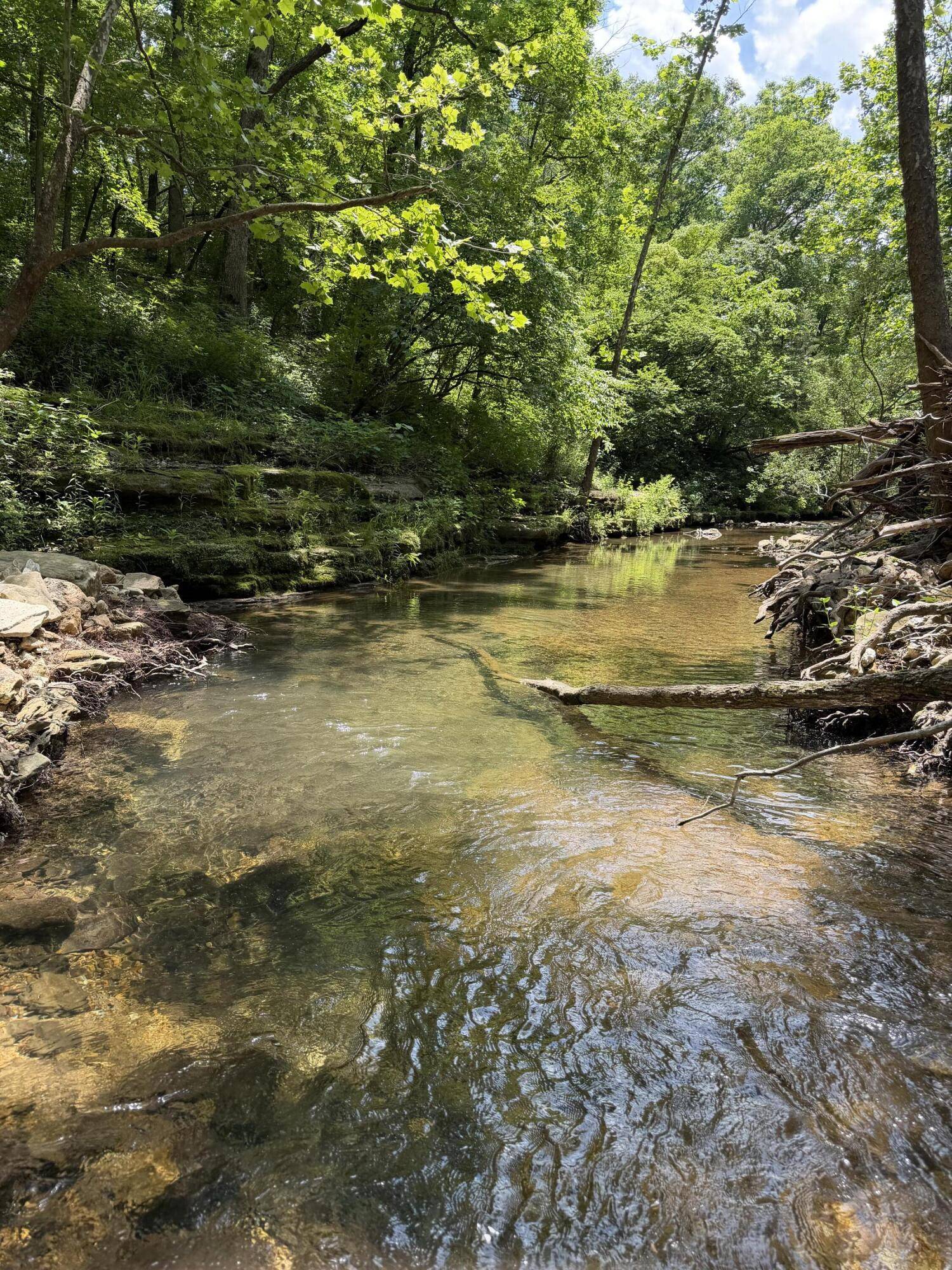 000 Pleasant Hill RD, Mountain Grove, MO 65711
