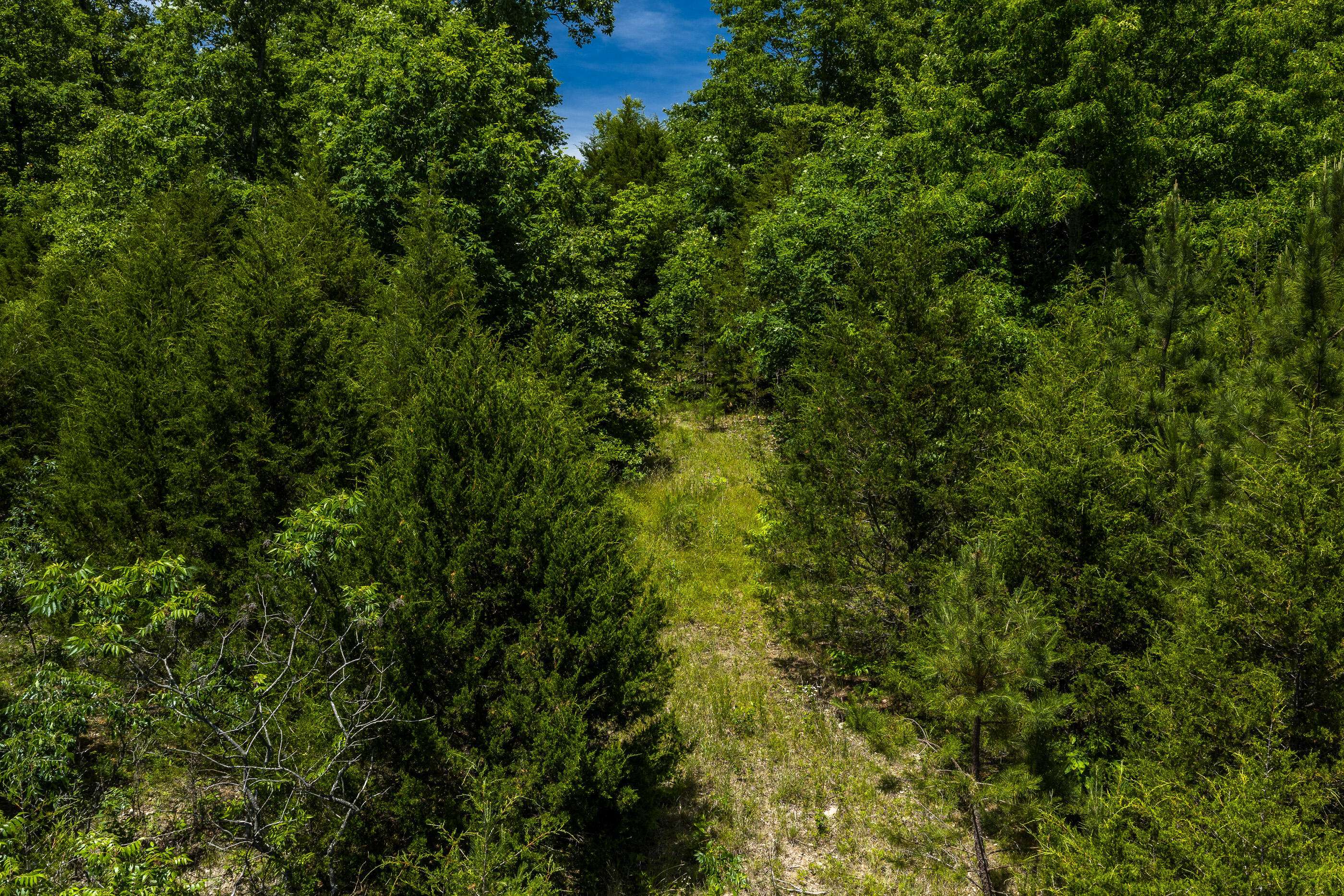 Tbd Timberhill Road-Tract 1, Raymondville, MO 65555
