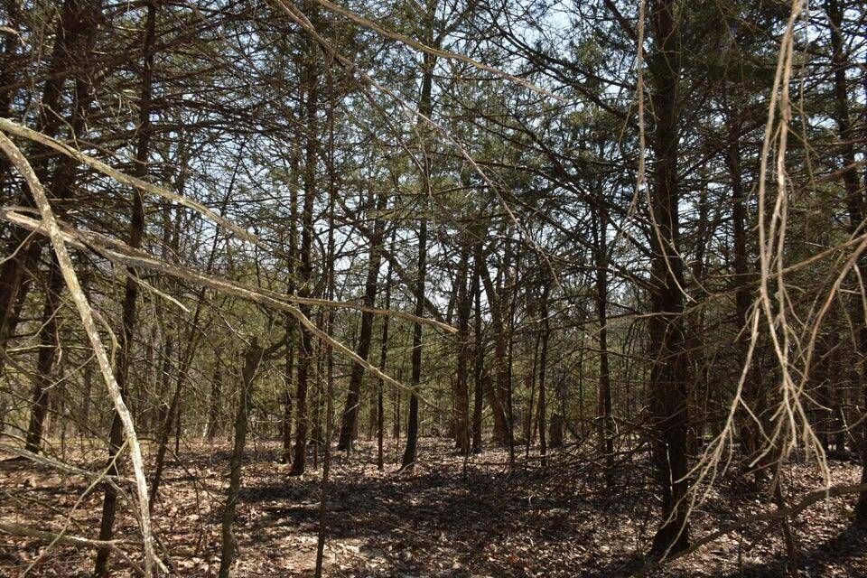 000 Burk RD, Highlandville, MO 65669